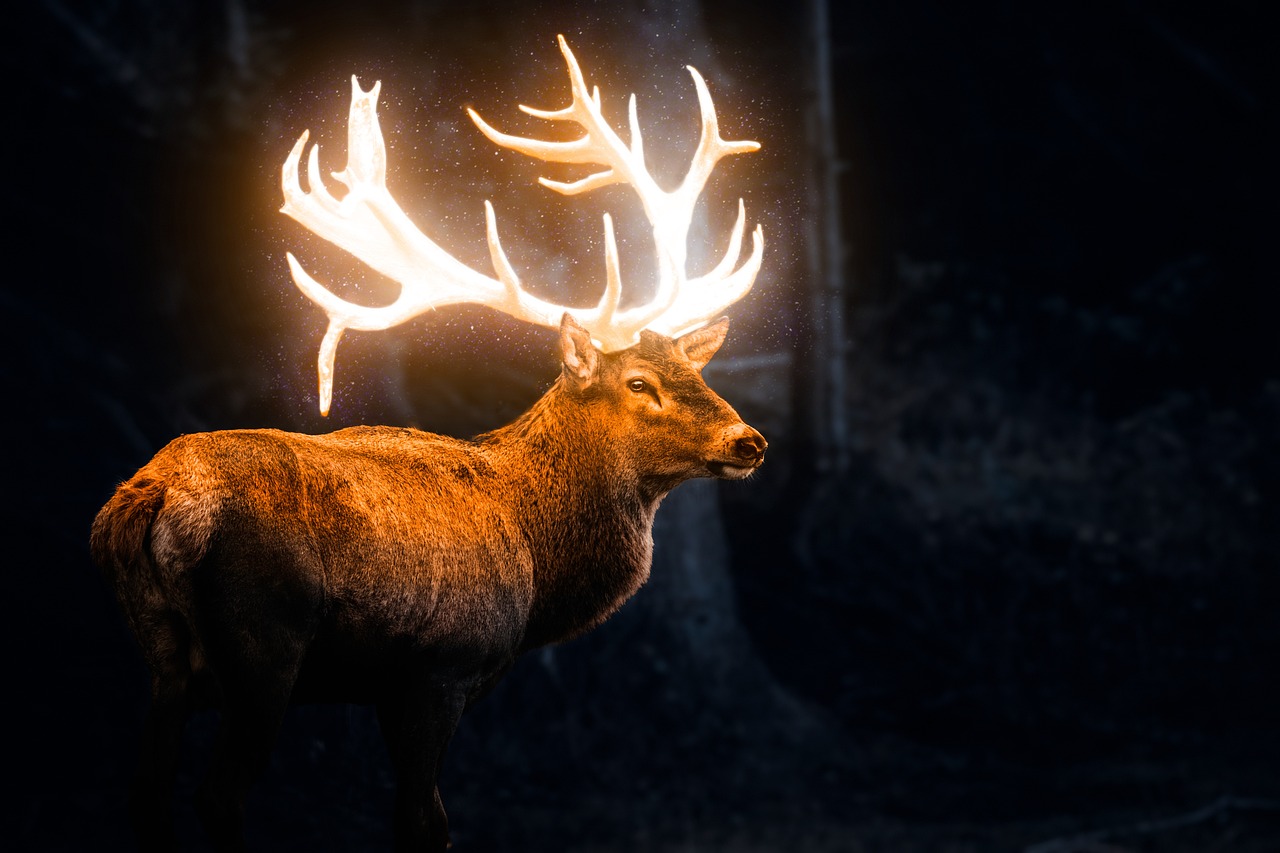 Fondo de Pantalla de pixabay_5703297.jpg