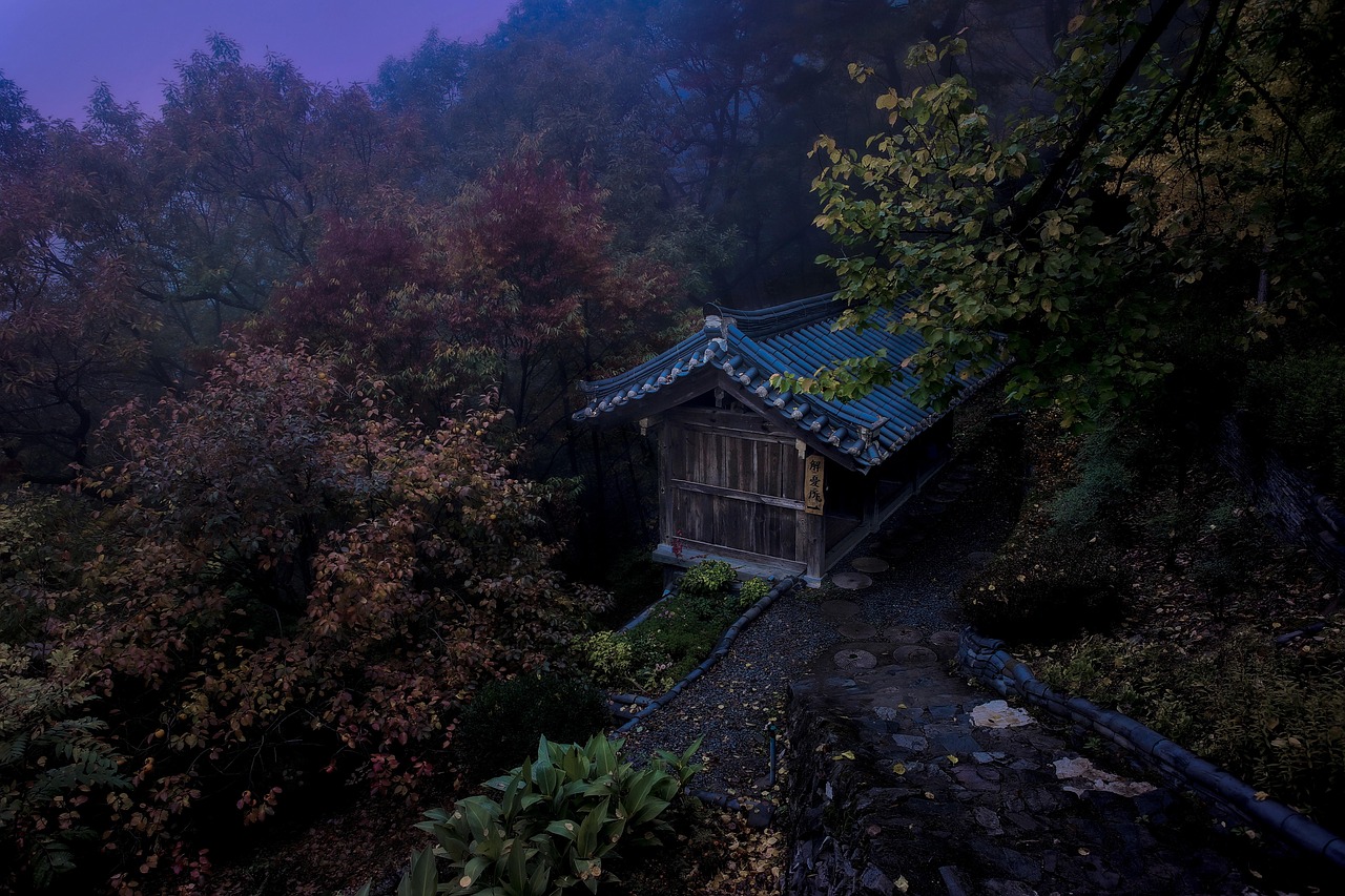 Fondo de Pantalla de pixabay_5984143.jpg