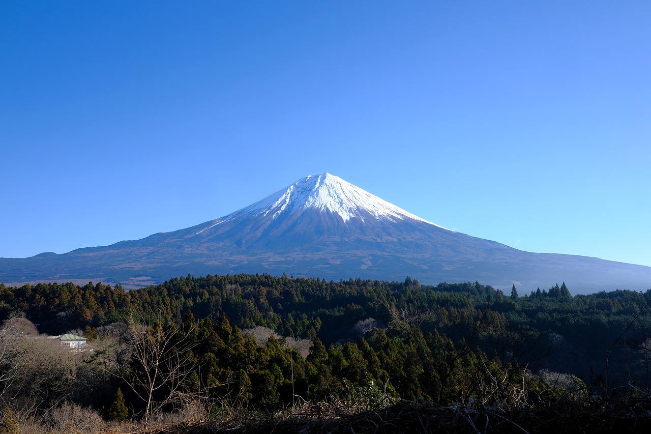 Fondo de Pantalla de pixabay_6904035.jpg