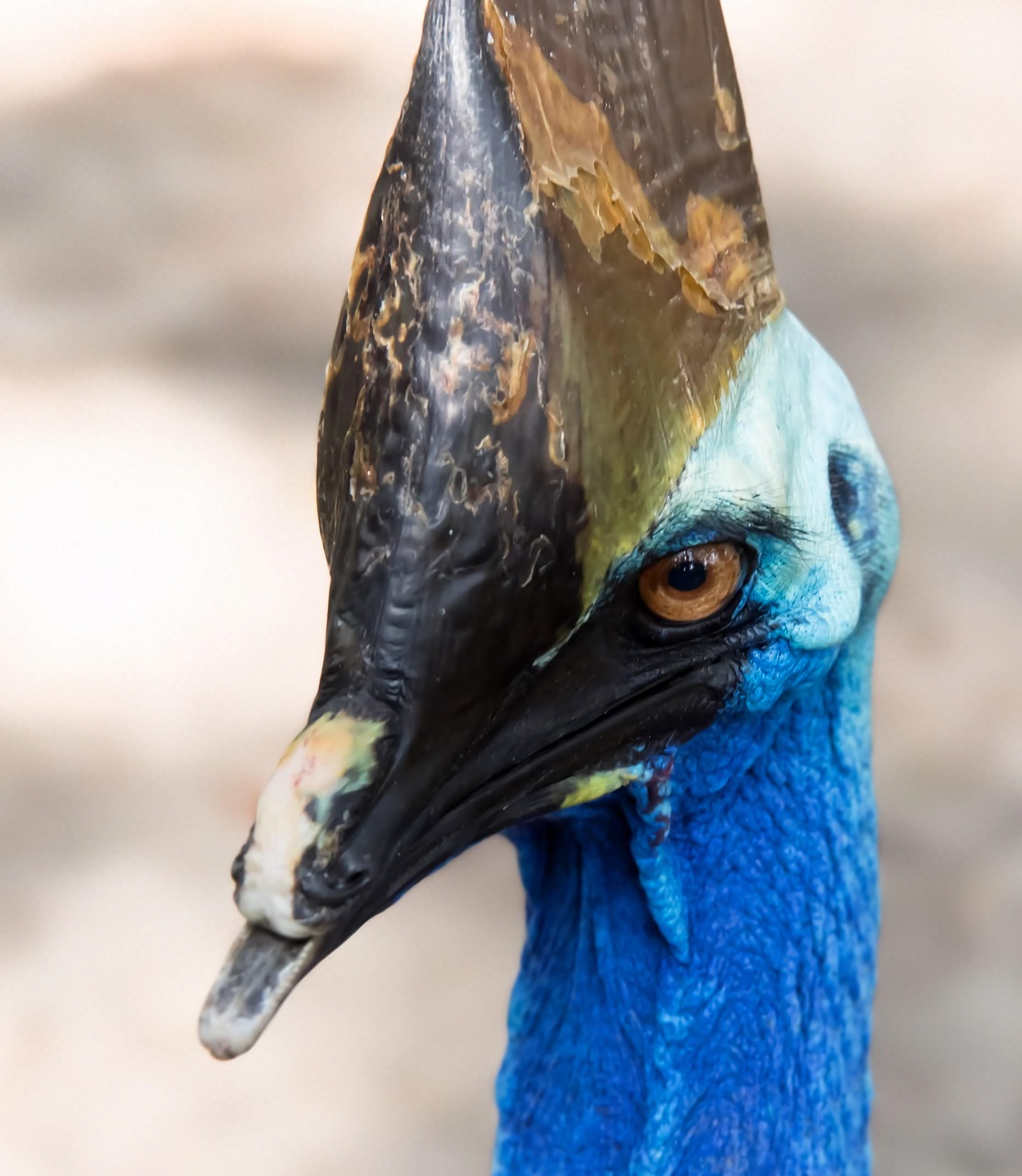 Fondo de Pantalla de pixabay_6926130.jpg