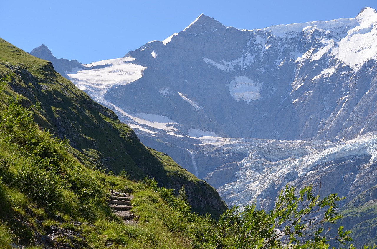 Fondo de Pantalla de pixabay_7428029.jpg