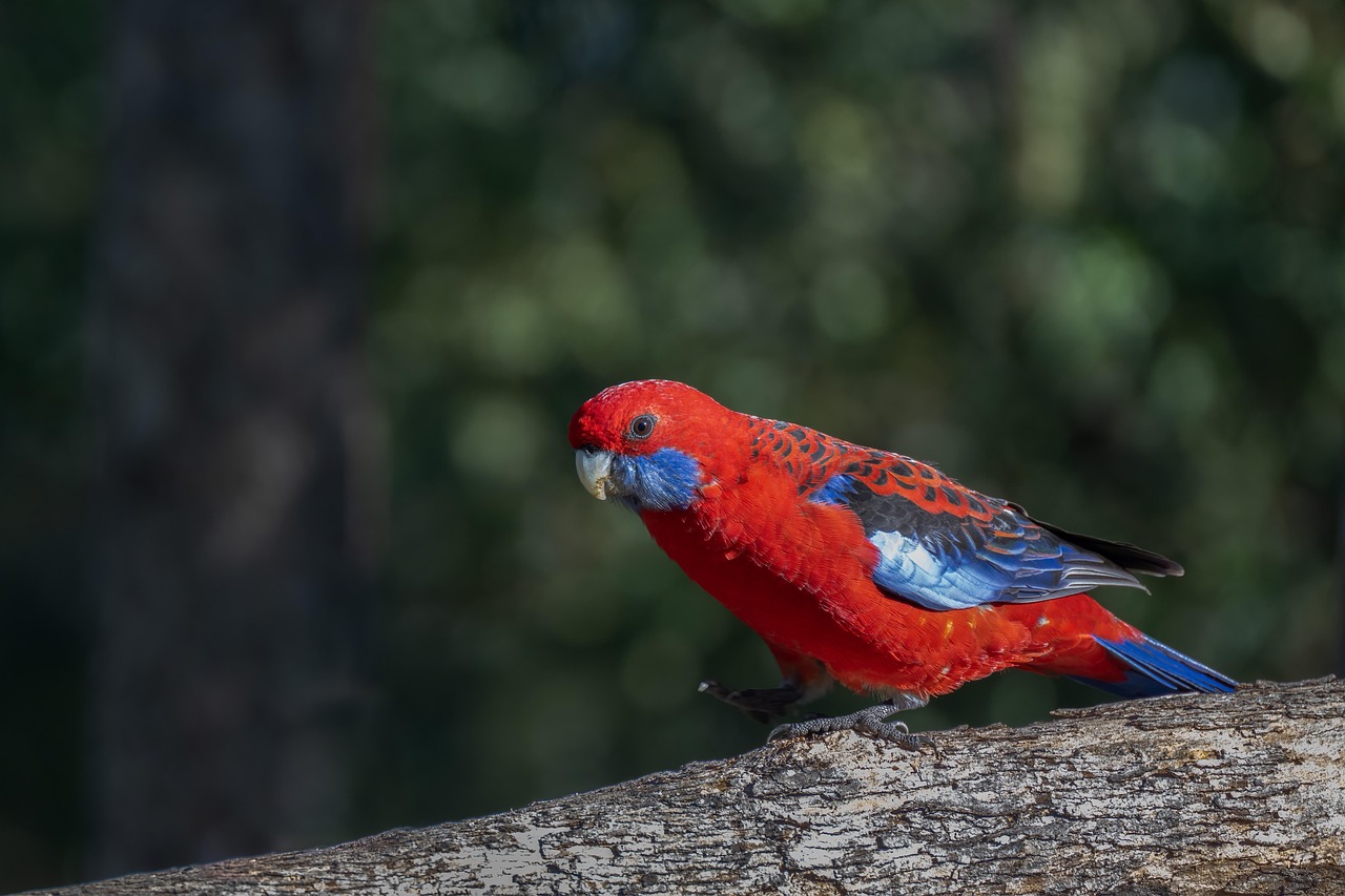 Fondo de Pantalla de pixabay_7945644.jpg