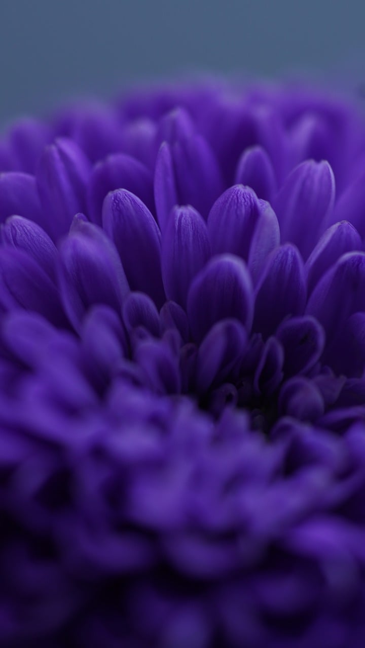 Fondo de Pantalla de pixabay_8206709.jpg