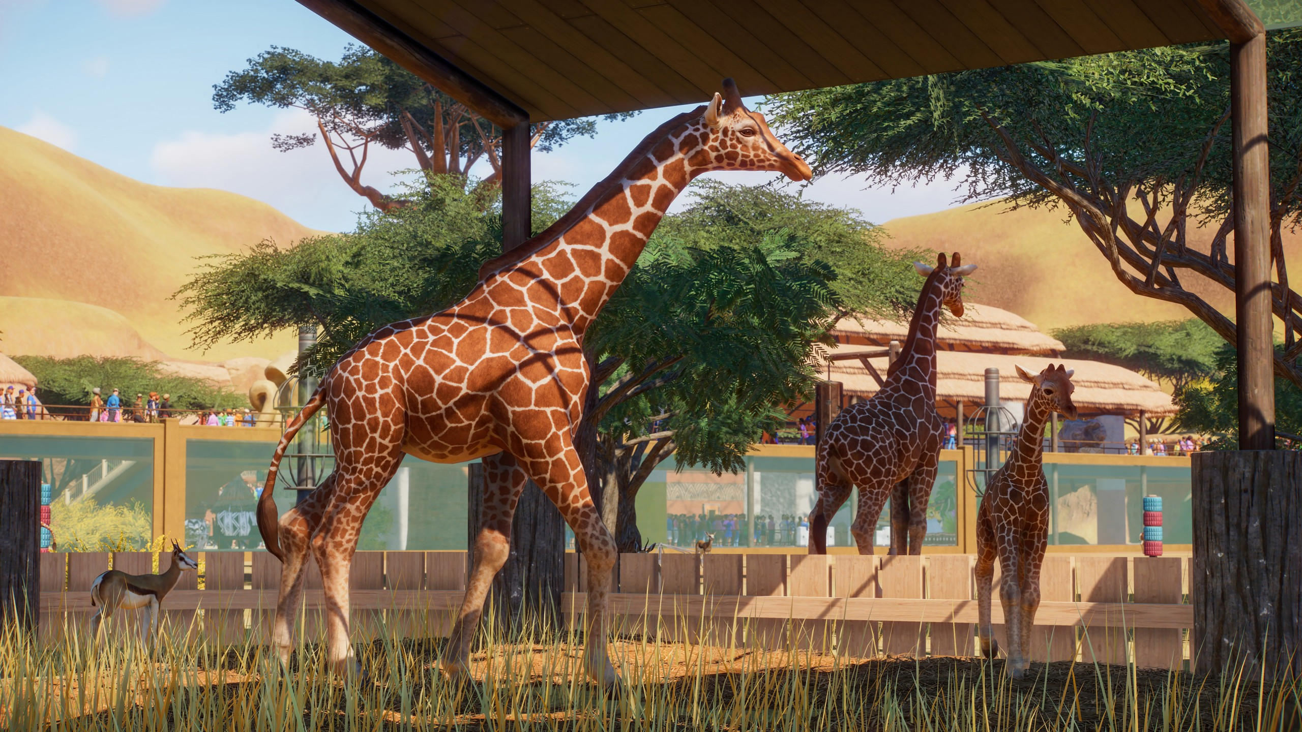 Planet zoo 2560x1440 e3 2019 screenshot 4k