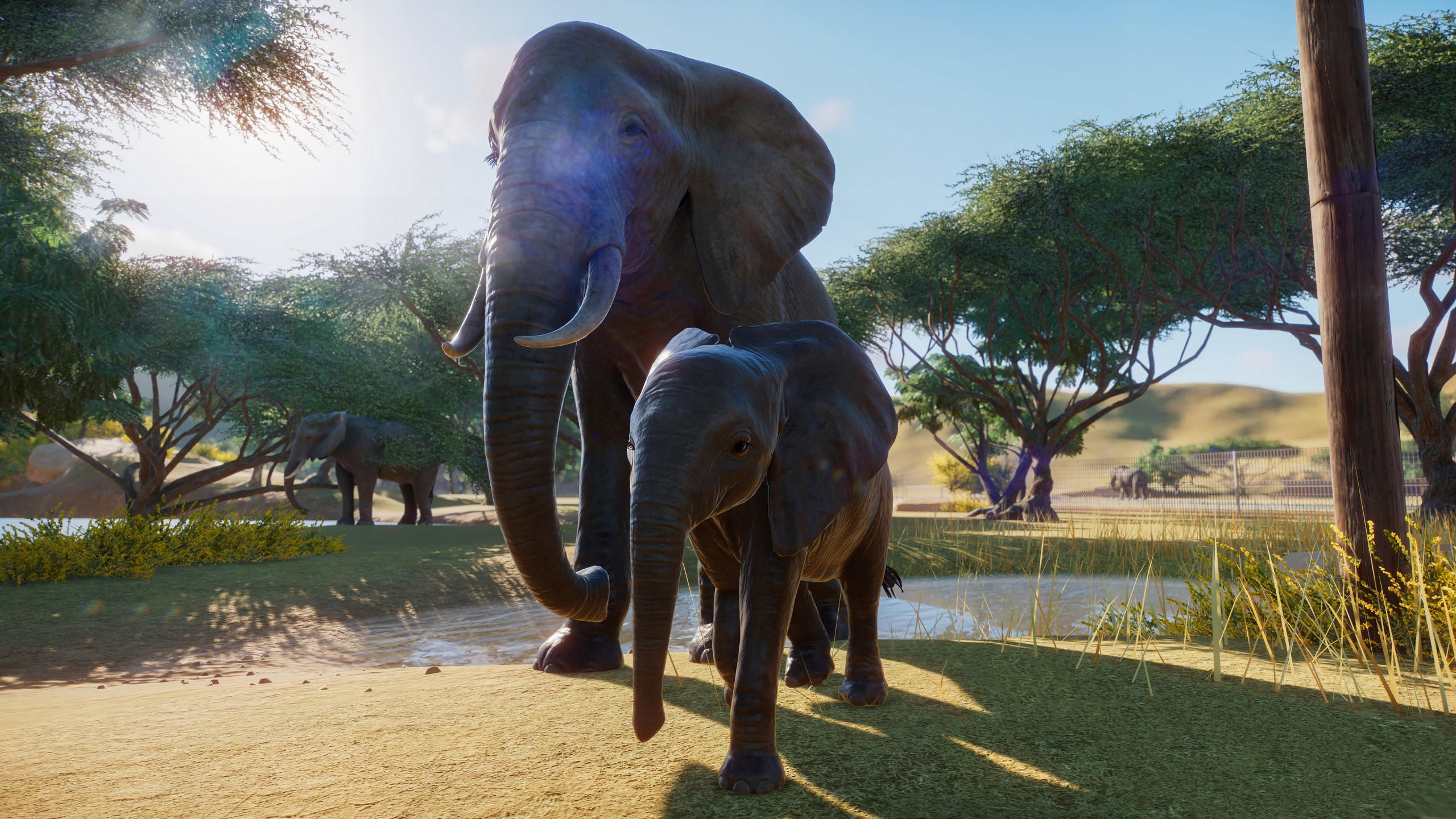 Planet zoo 2560x1440 e3 2019 screenshot 4k
