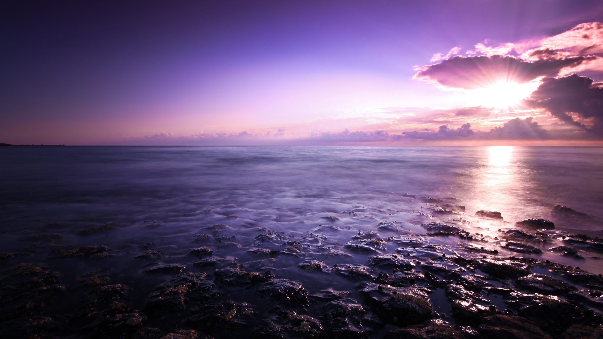 Purple seascape