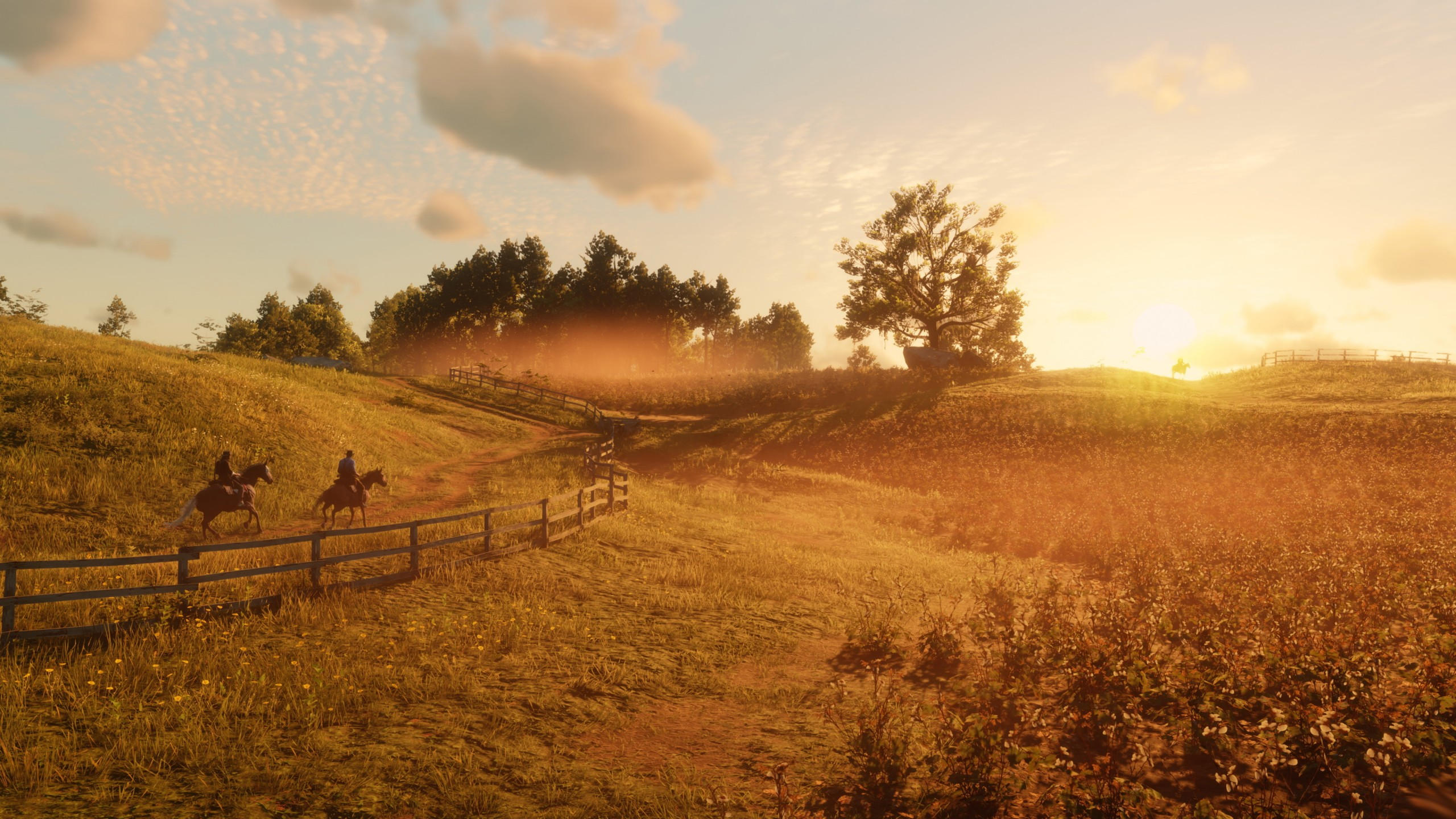 Rdr2 pc 2560x1440 screenshot 4k