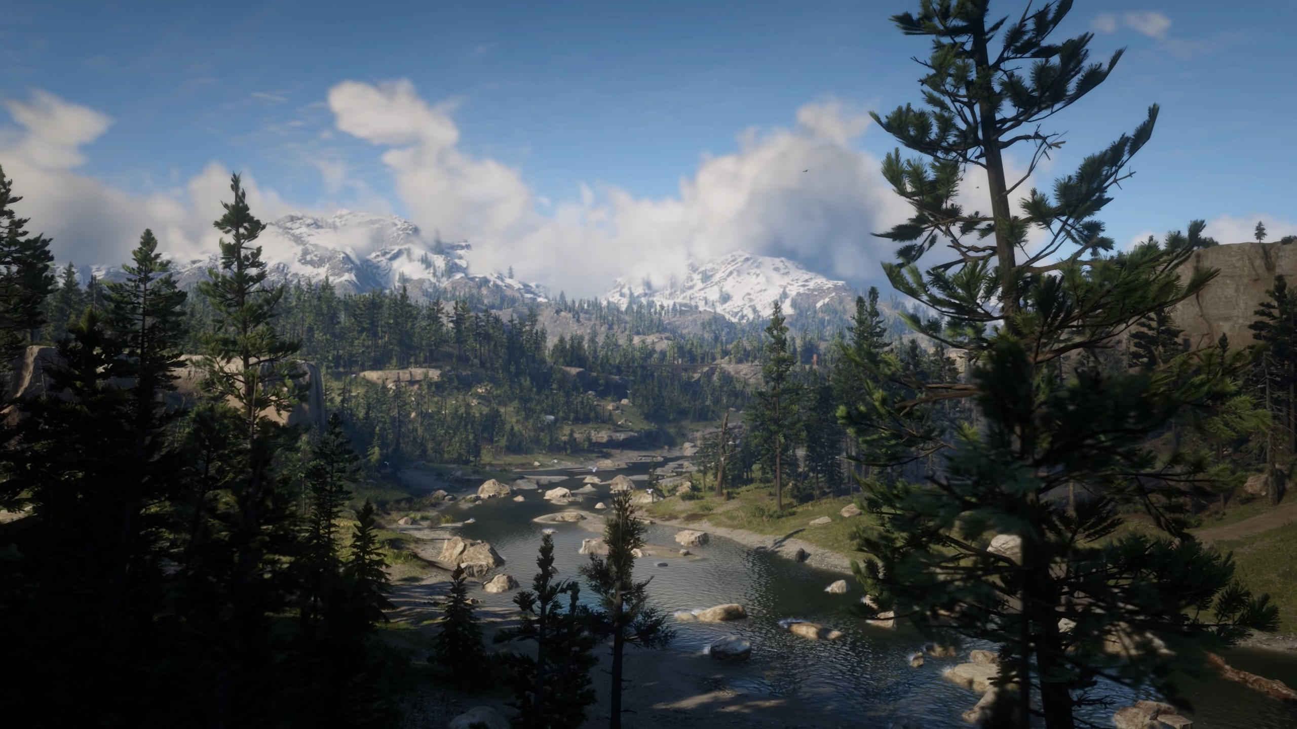 Red dead redemption 2 2560x1440 screenshot 4k