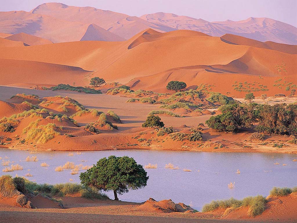 Rio junto a desierto