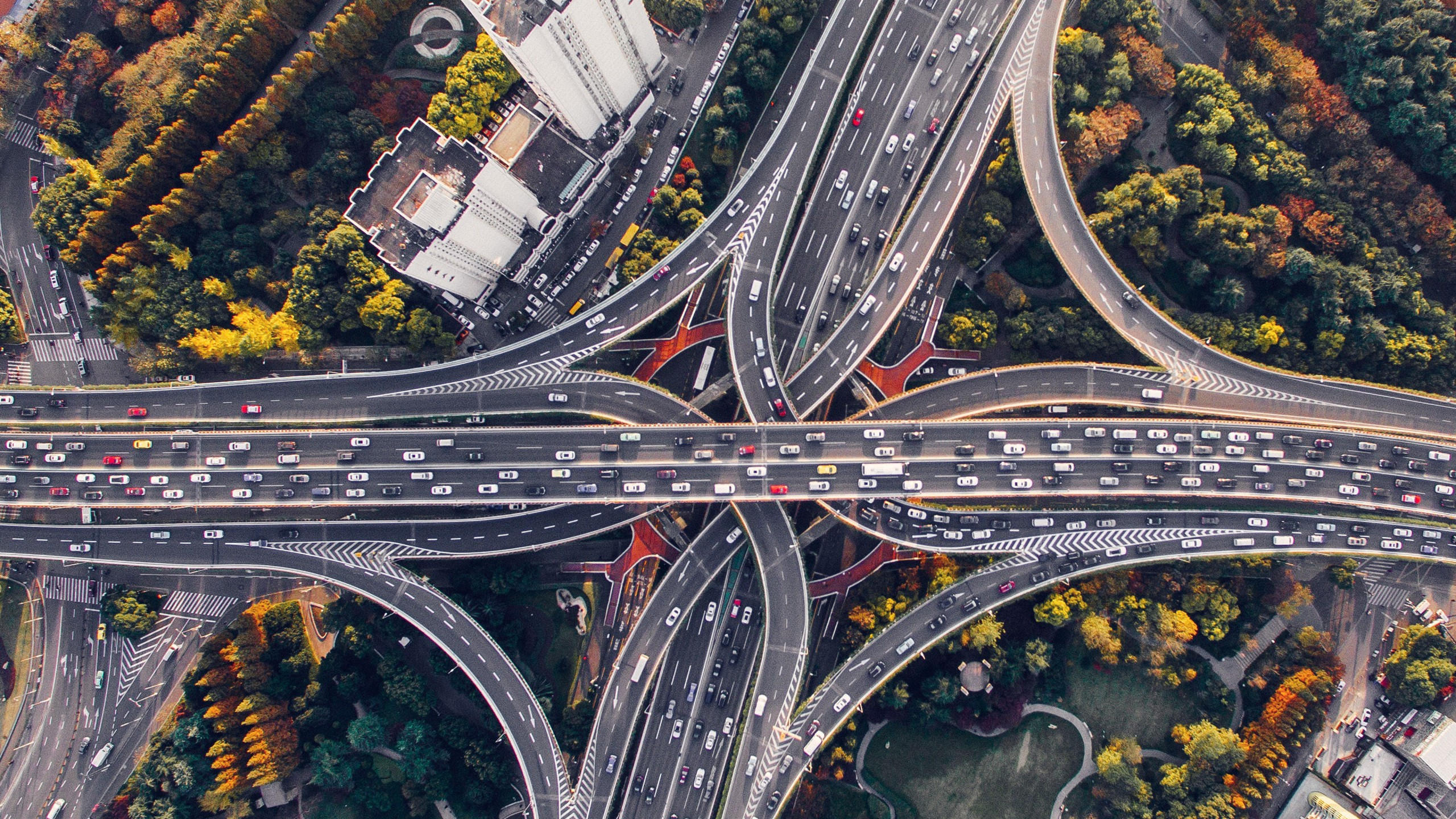 Road 2560x1440 city 4k