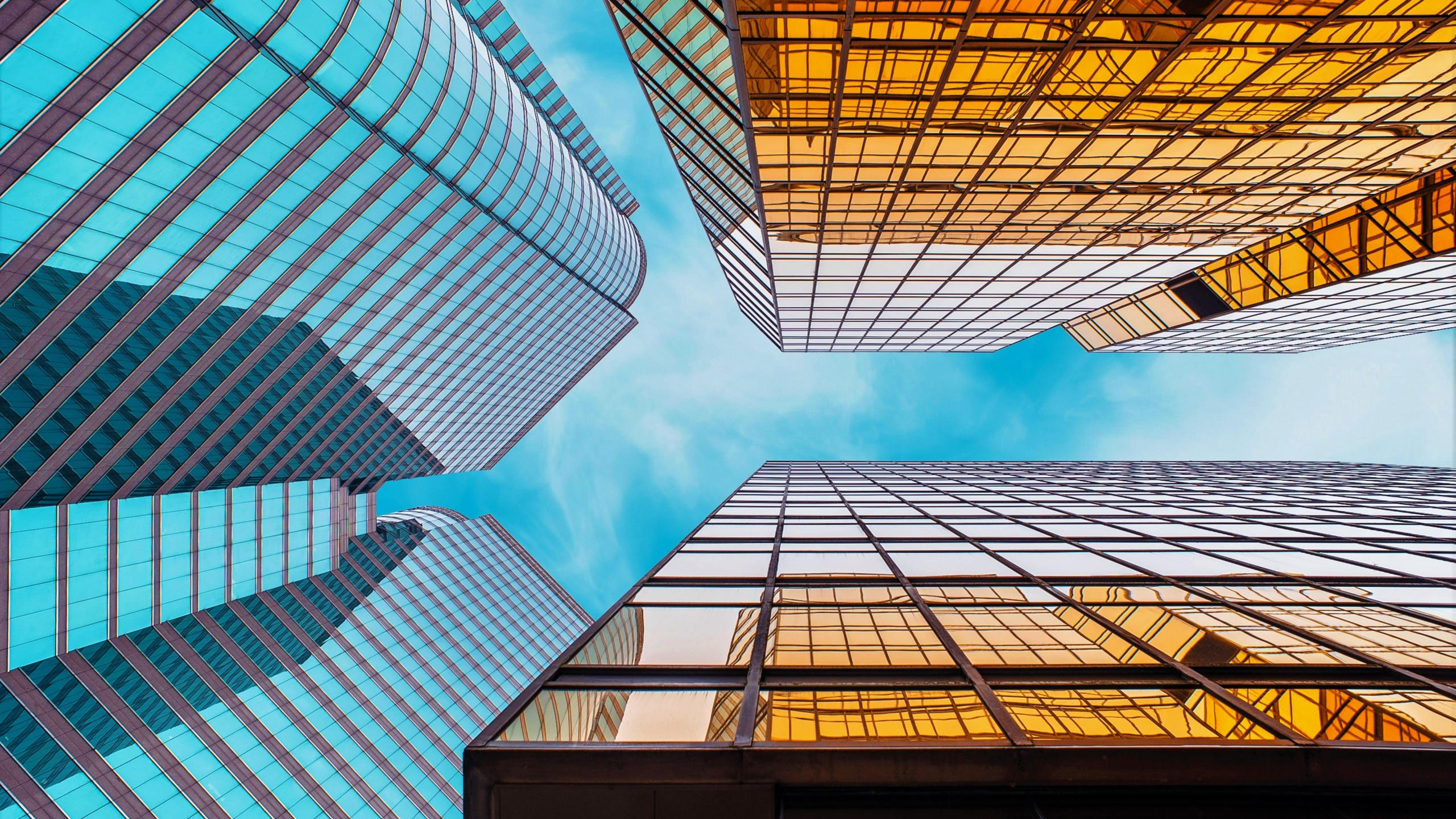 Skyscraper 2560x1440 cityscape 5k