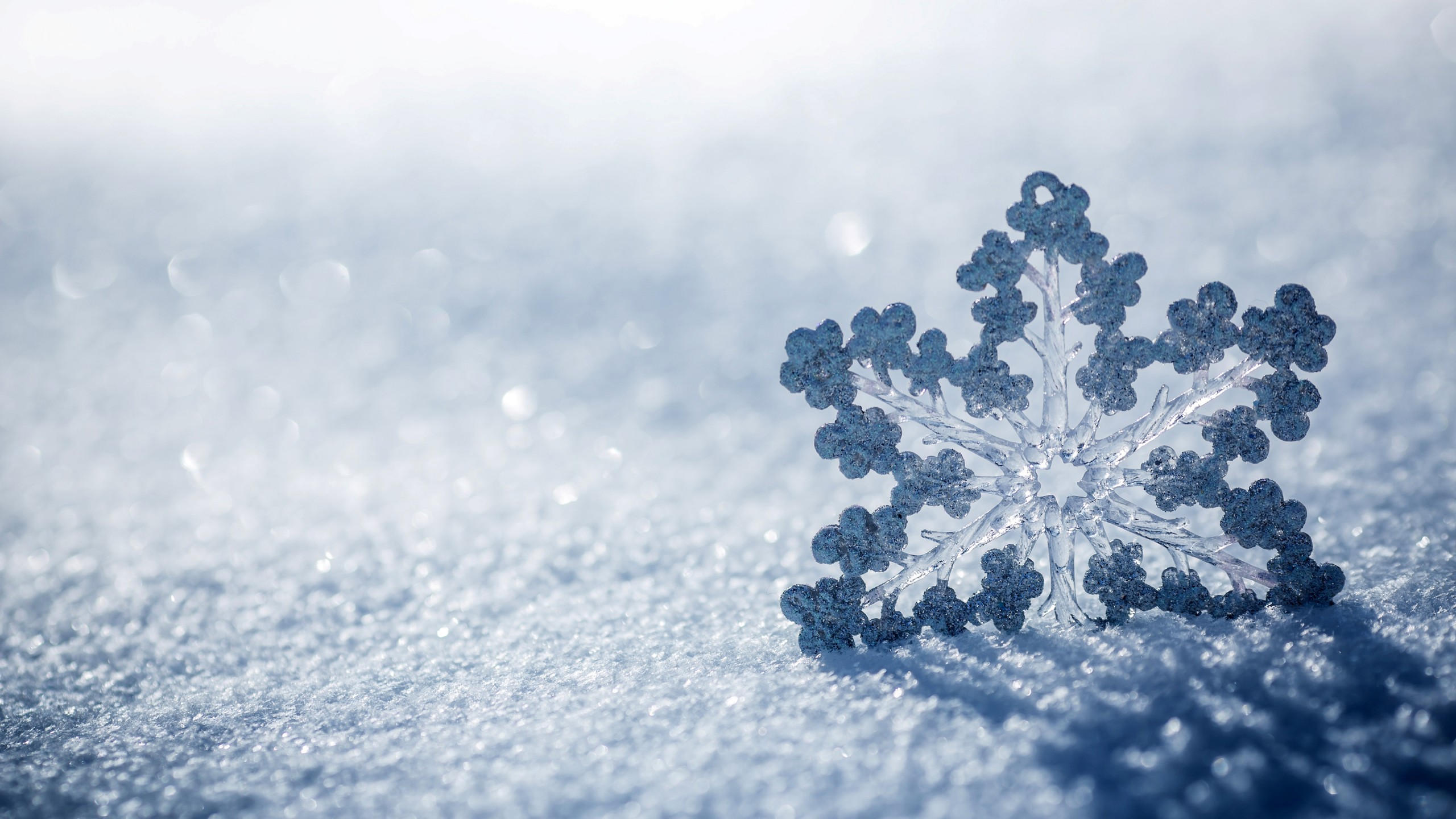 Snow 2560x1440 winter snowflake 4k