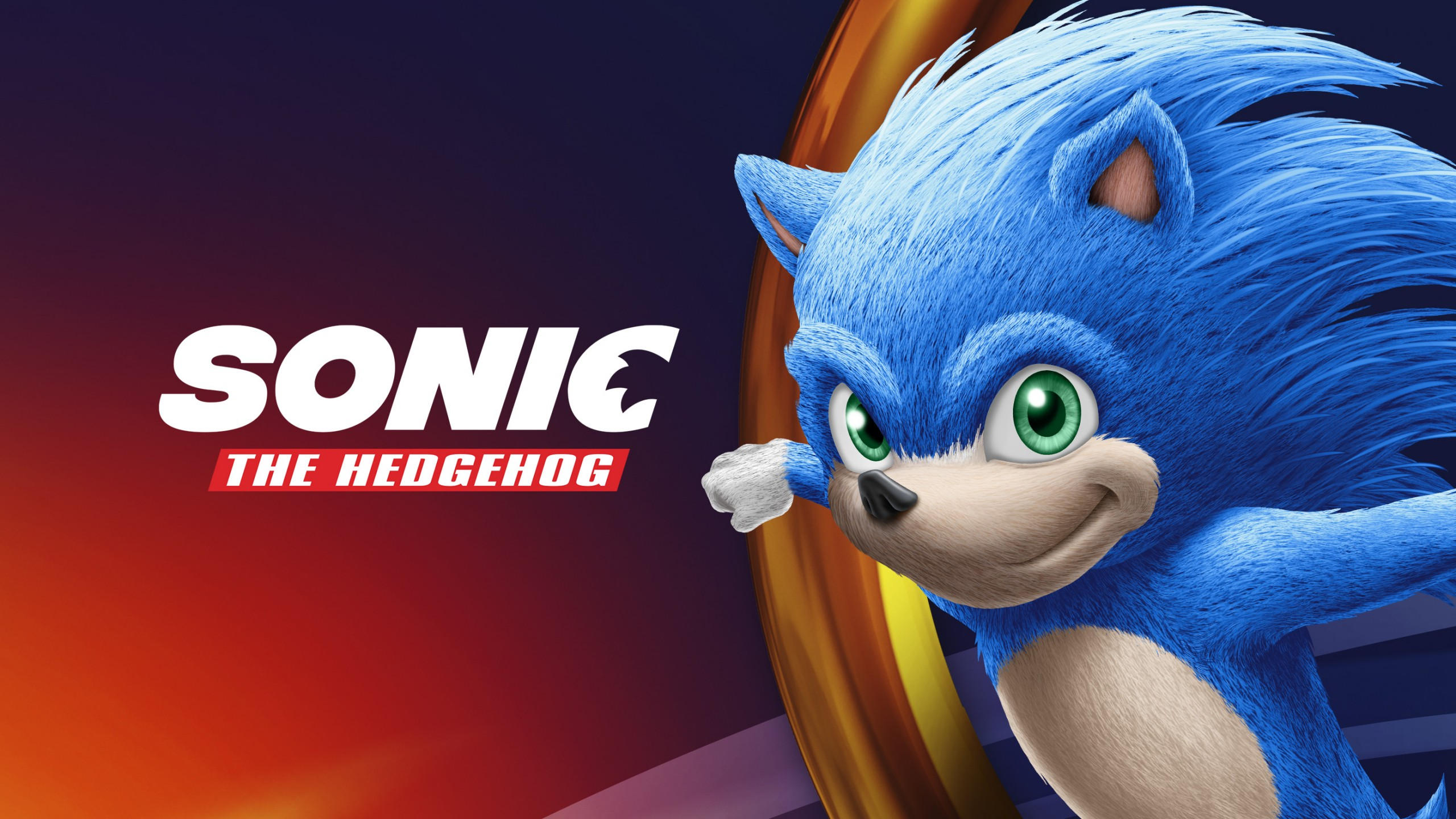 Sonic the hedgehog 2560x1440 poster hd