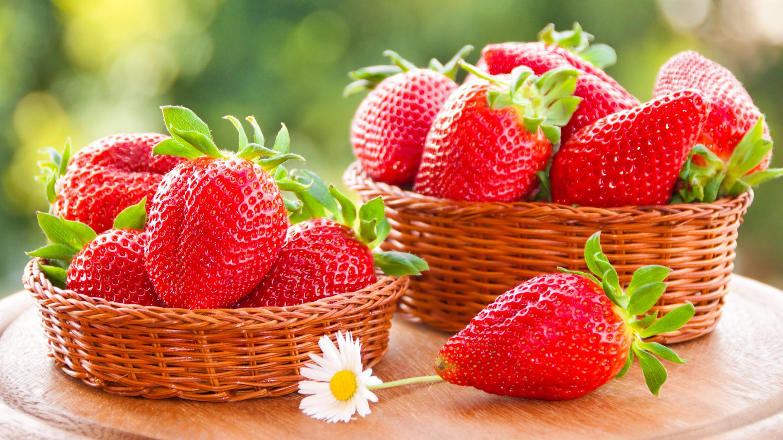 Strawberry 2560x1440 4k