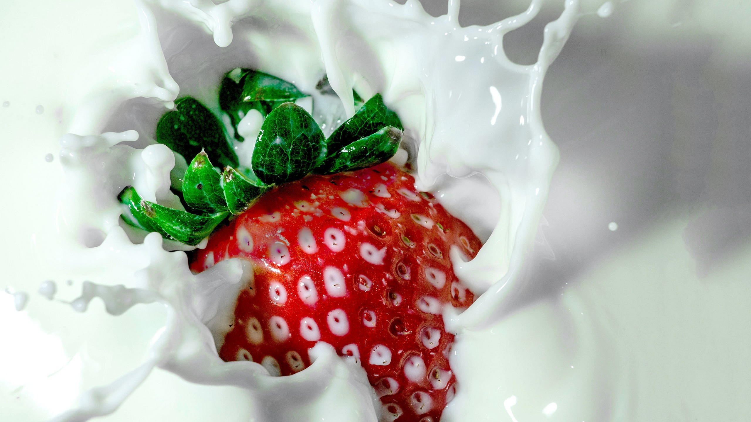Strawberry 2560x1440 milk delicious 4k