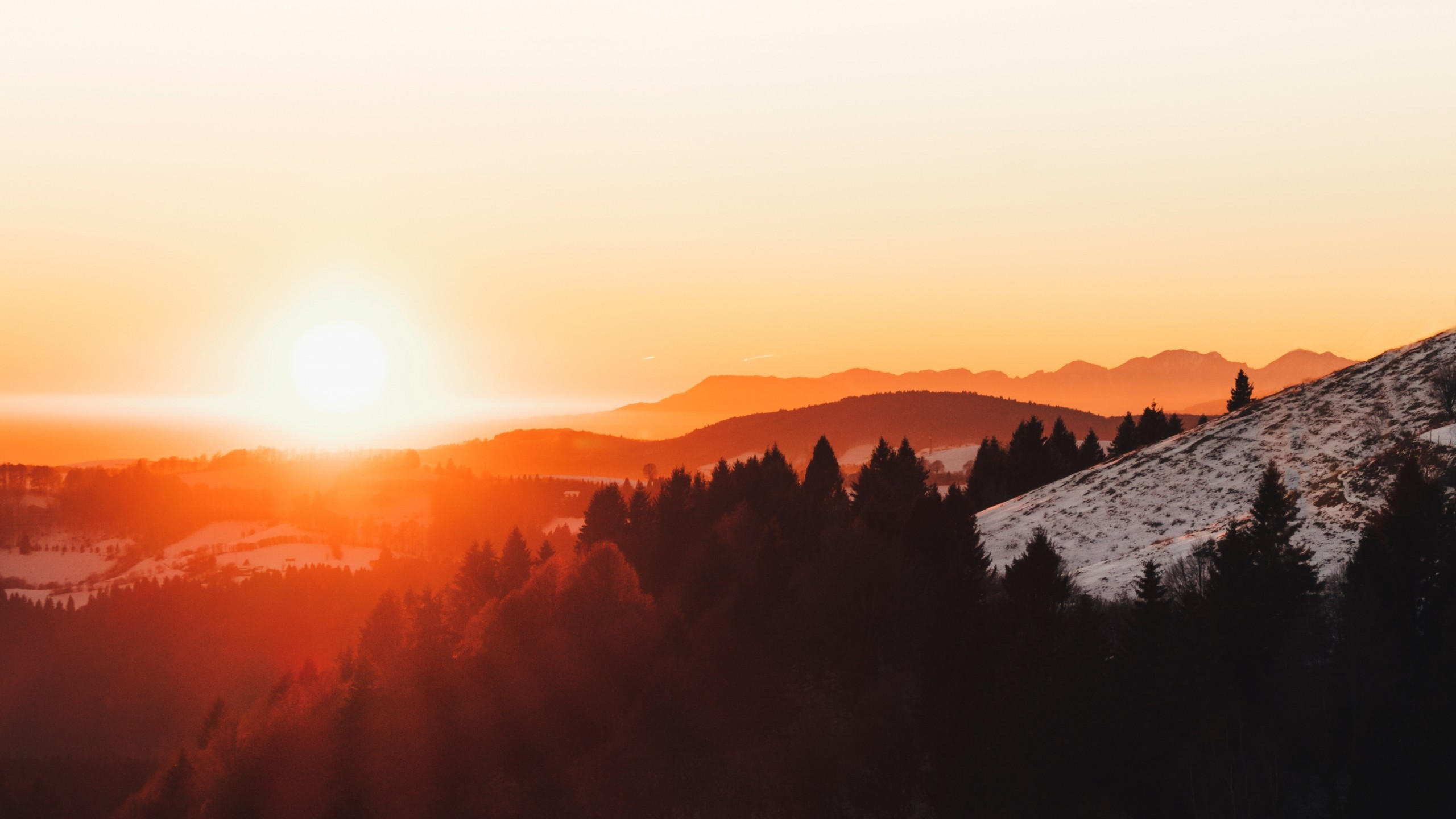 Sunset 2560x1440 forest snow 4k