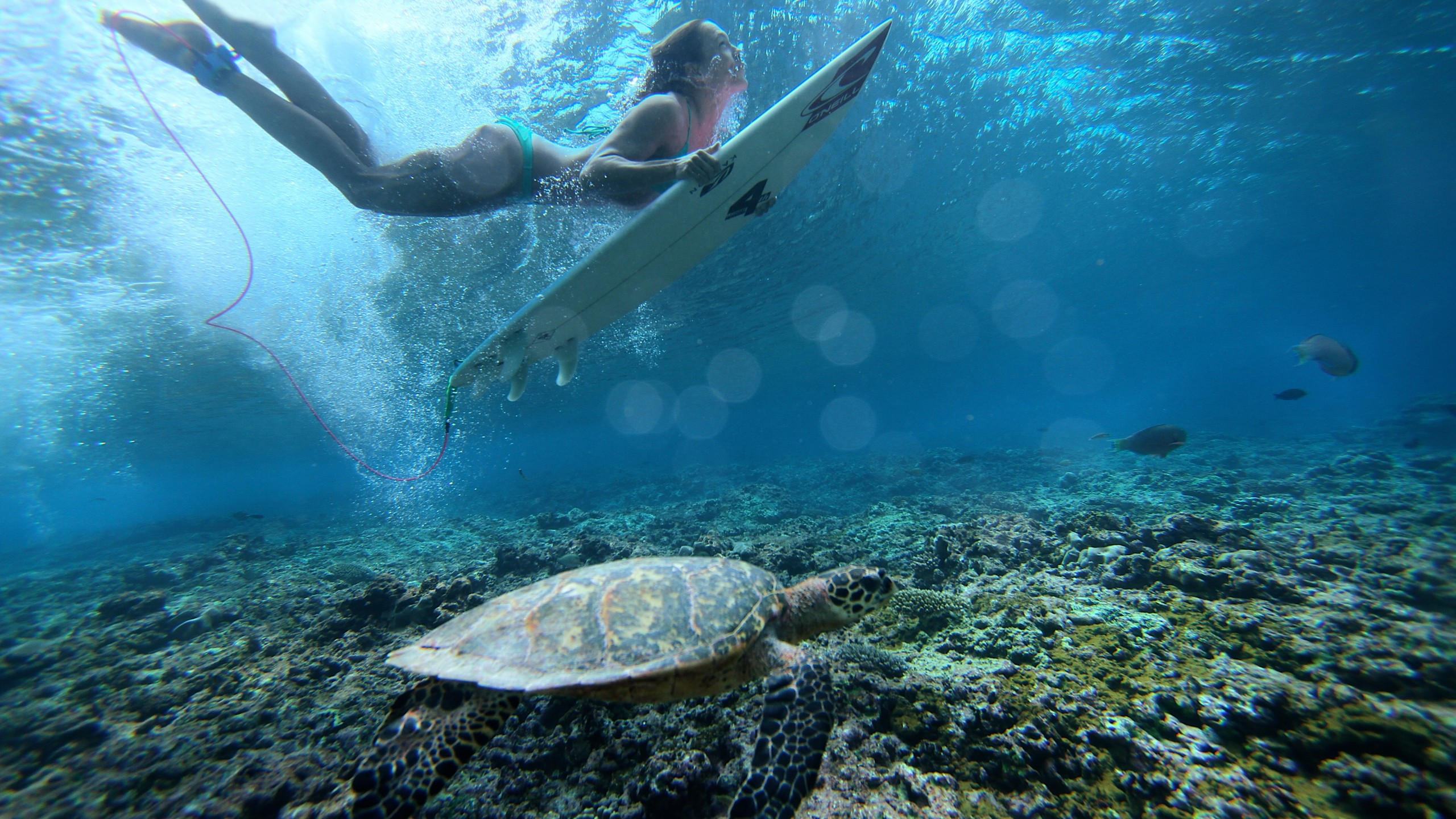 Surfing 2560x1440 girl sea underwater