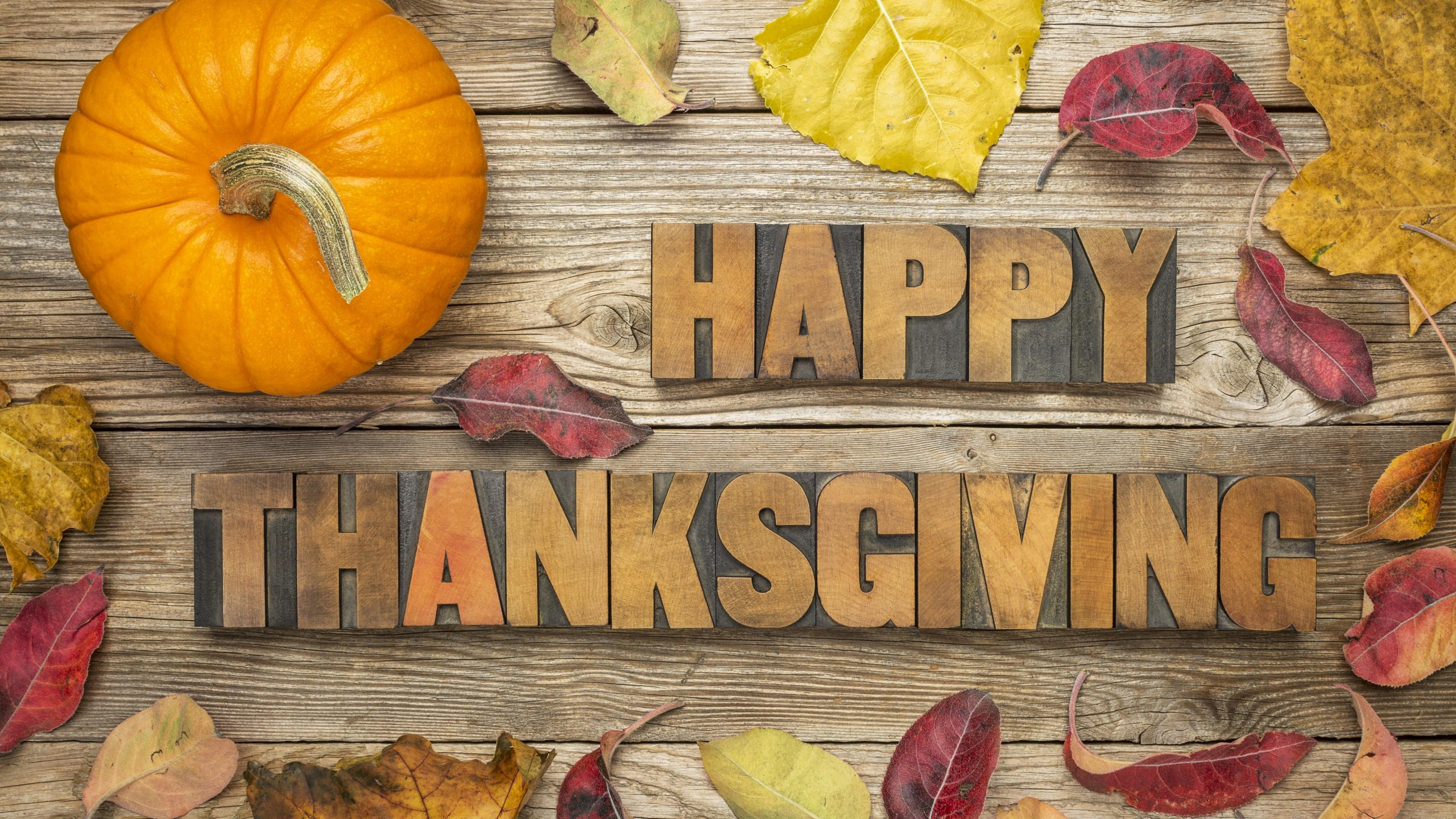 Thanksgiving day 2560x1440 pumpkin leaves 5k