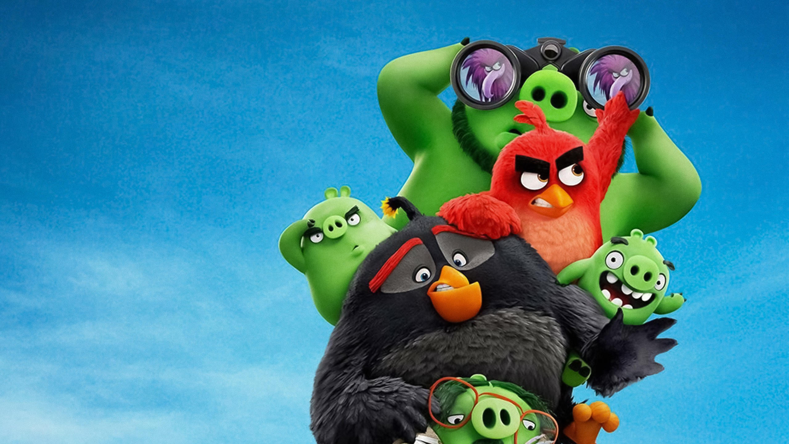 The angry birds movie 2 2560x1440 poster 4k