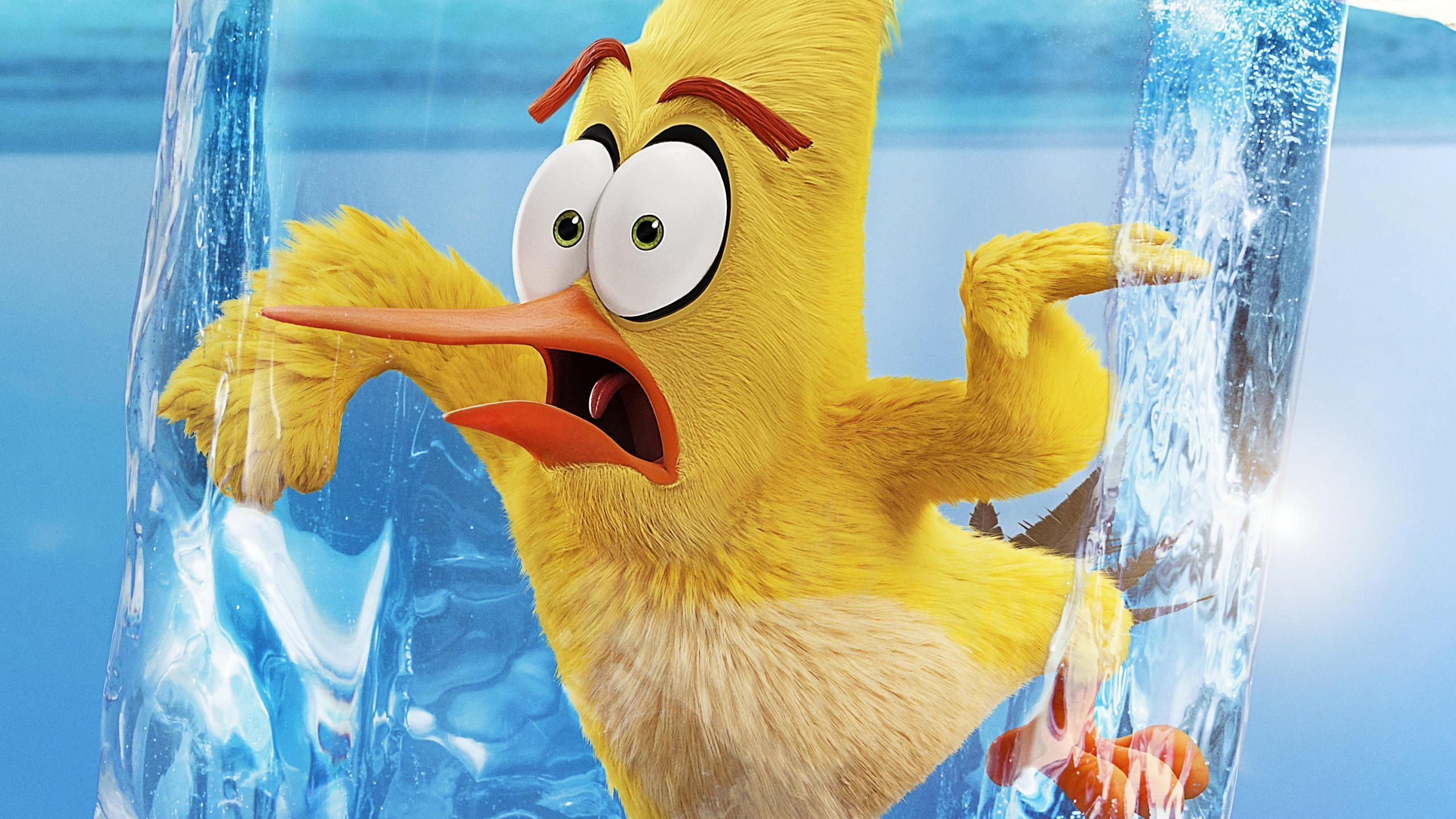 The angry birds movie 2 2560x1440 poster 4k