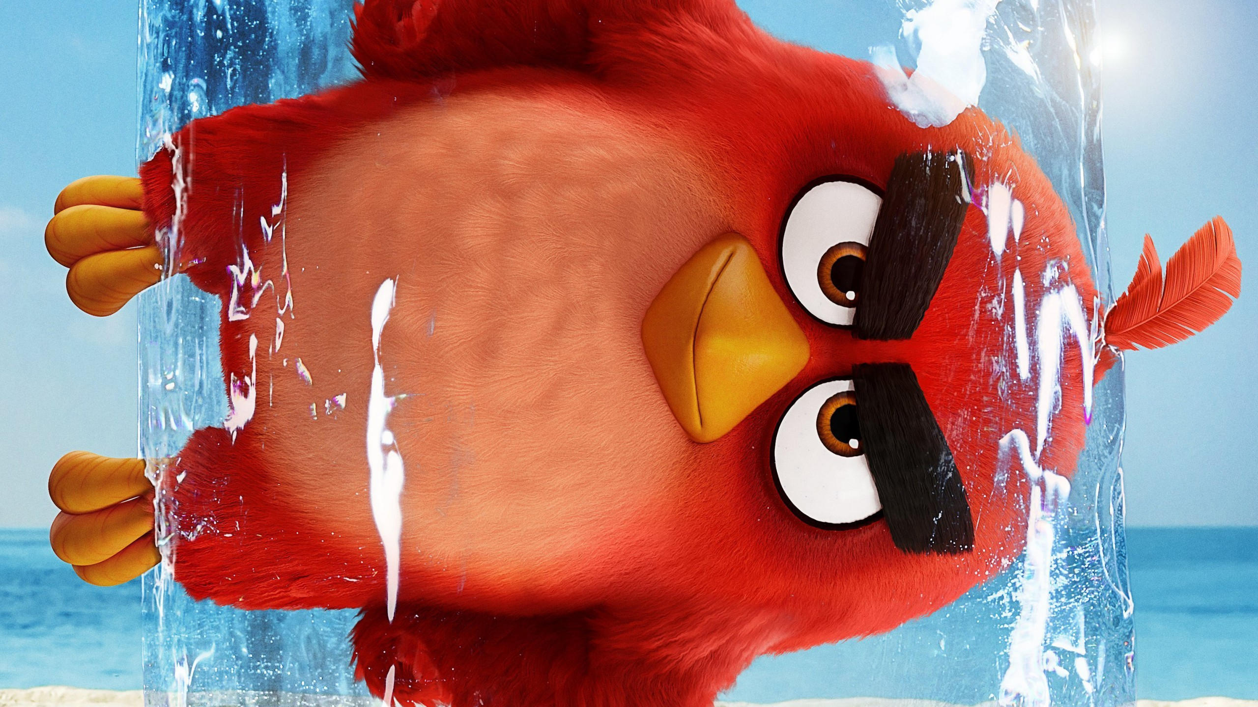 The angry birds movie 2 2560x1440 poster 4k