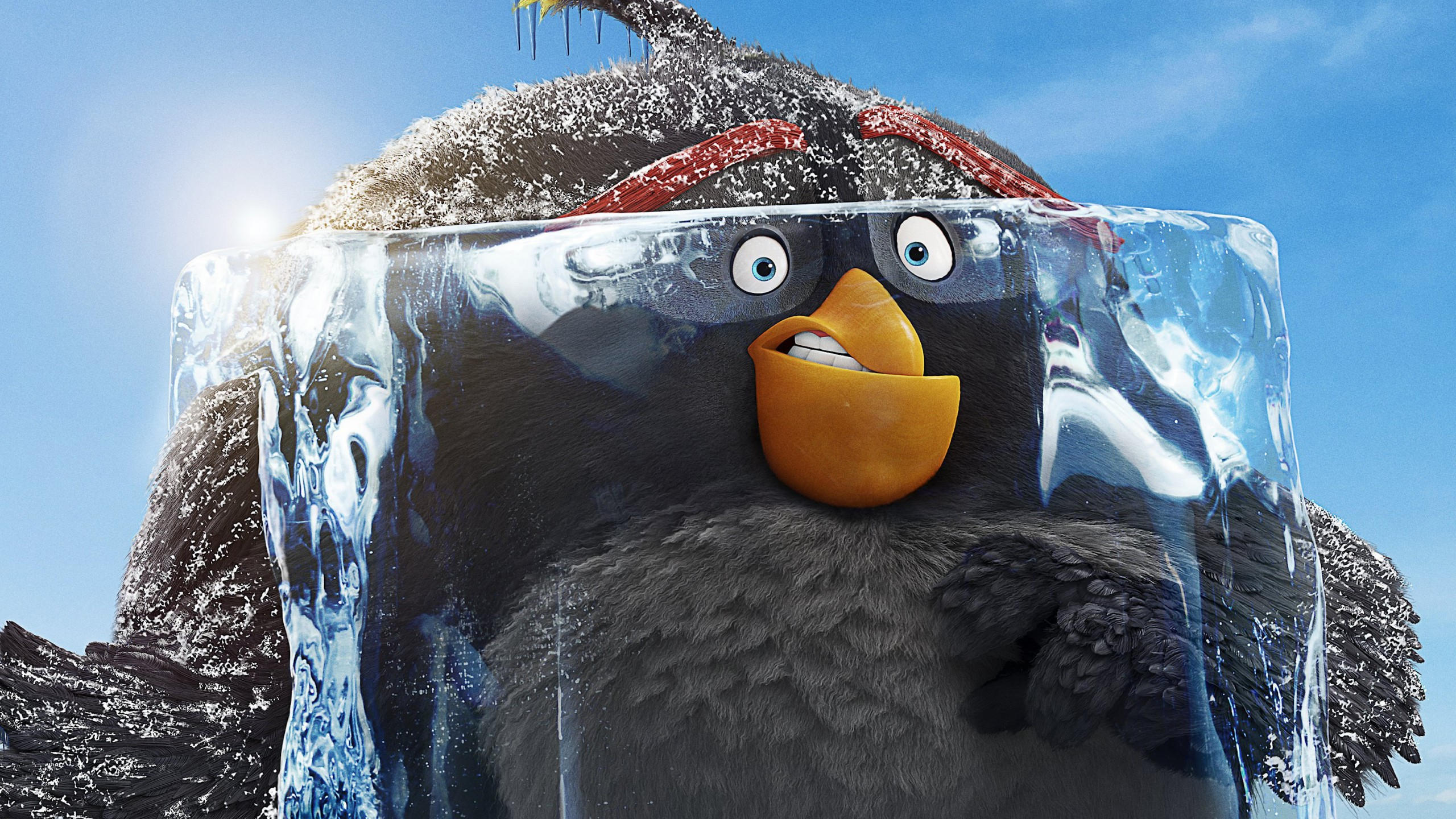 The angry birds movie 2 2560x1440 poster 4k