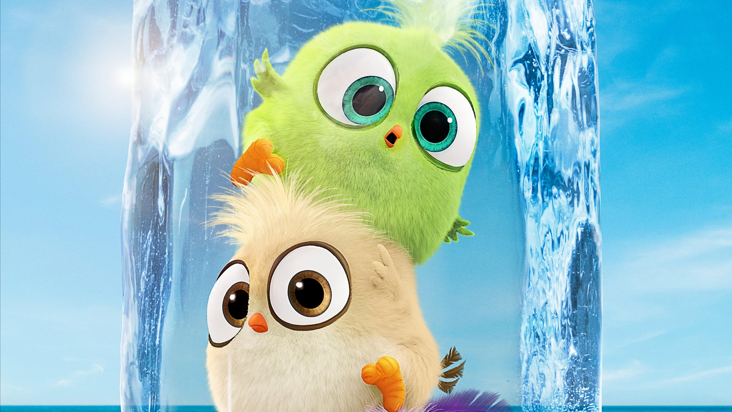 The angry birds movie 2 2560x1440 poster 5k
