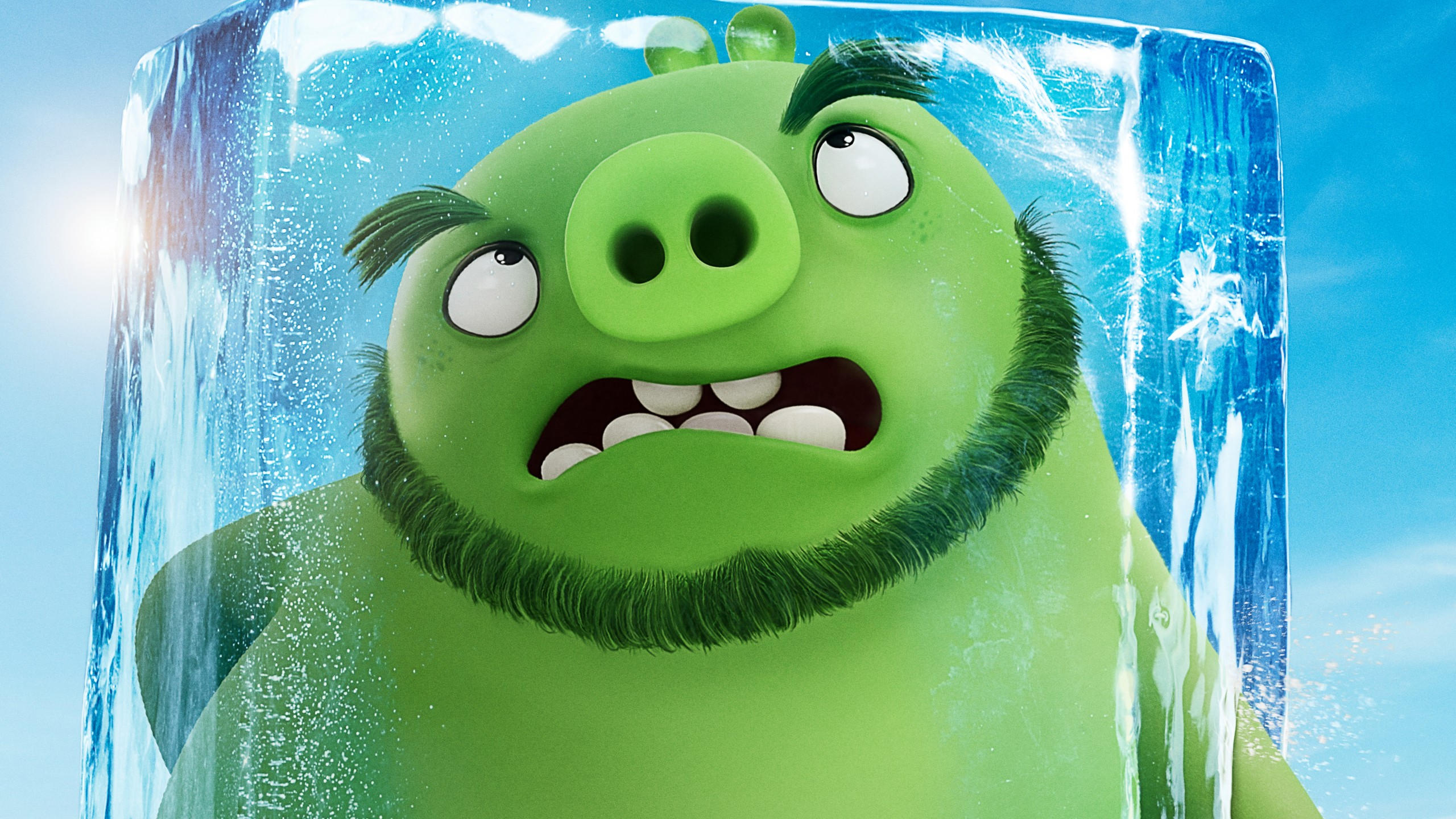 The angry birds movie 2 2560x1440 poster 5k