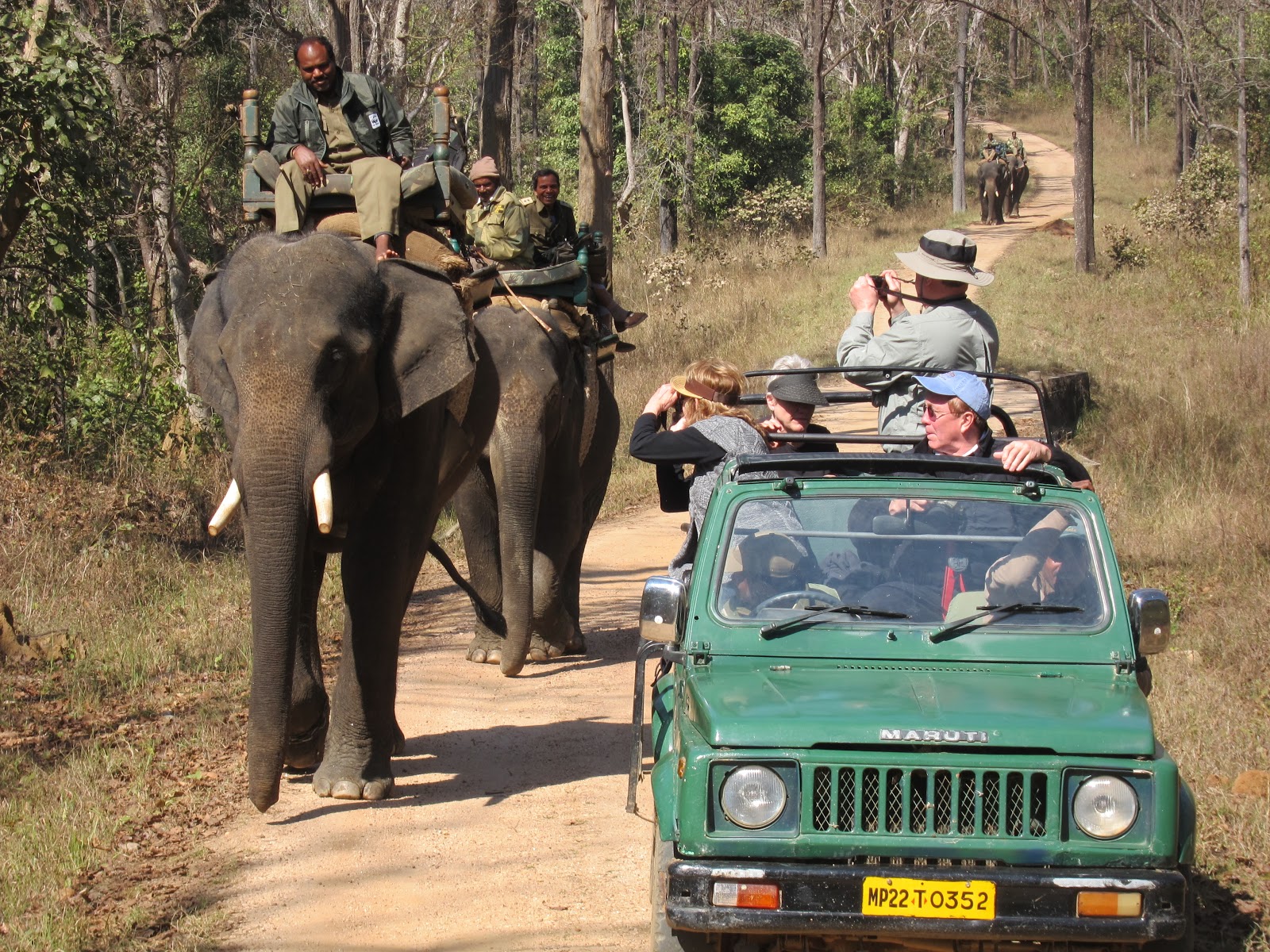 Turistas viendo elefantes
