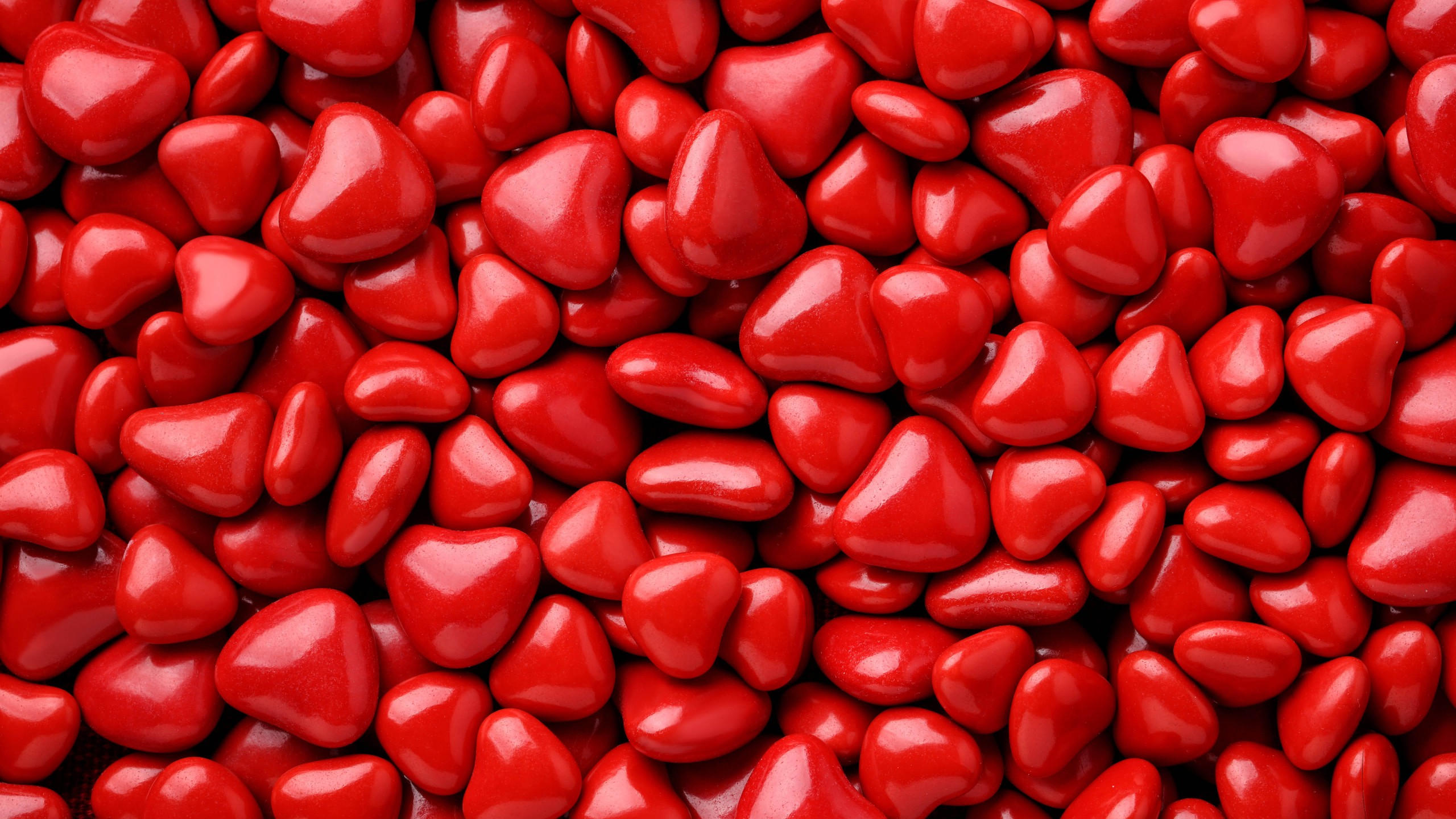 Valentine 039 s day 2560x1440 valentines day love image hearts red 8k