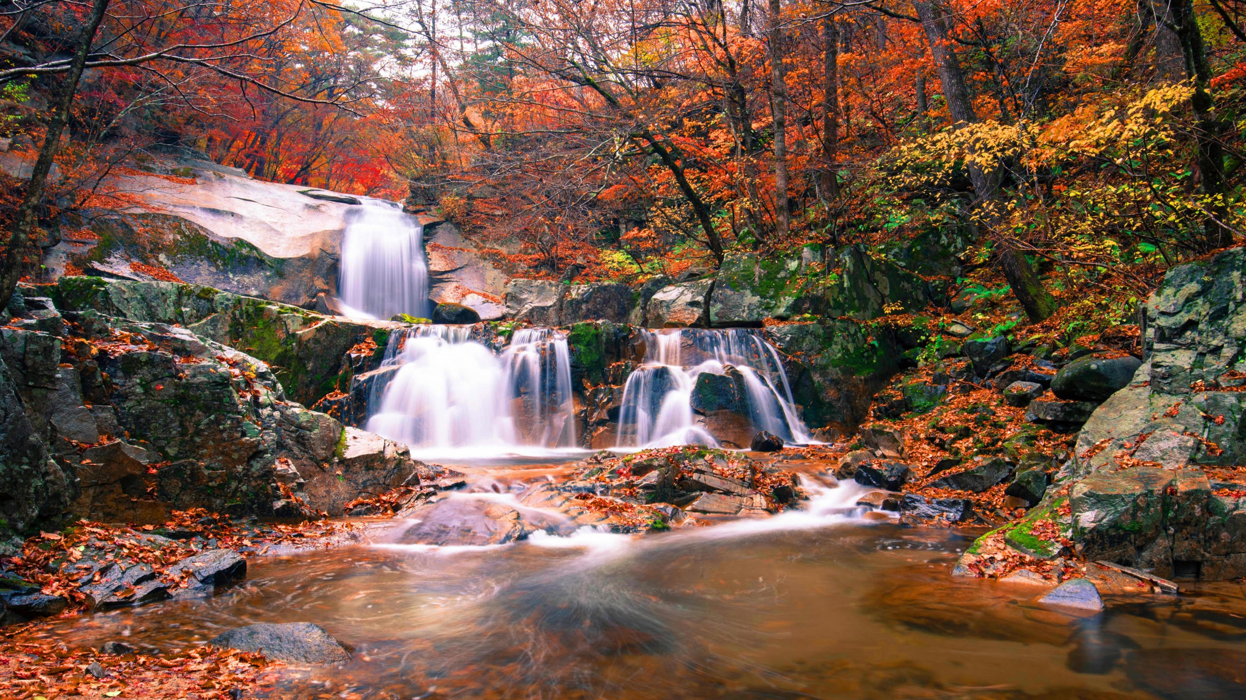 Waterfall 2560x1440 autumn 5k