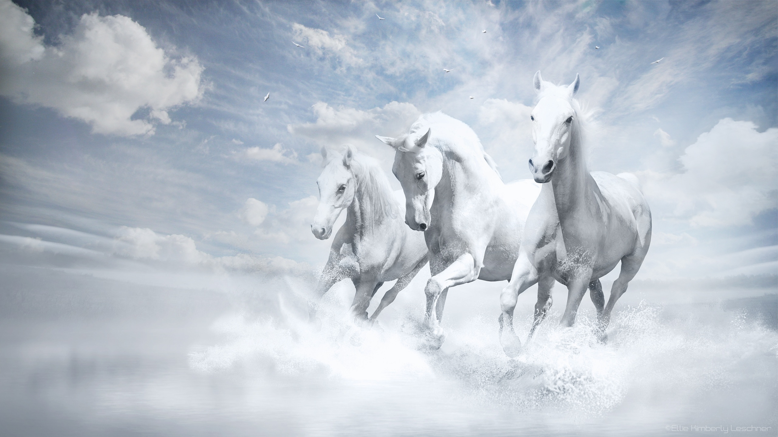 White horses