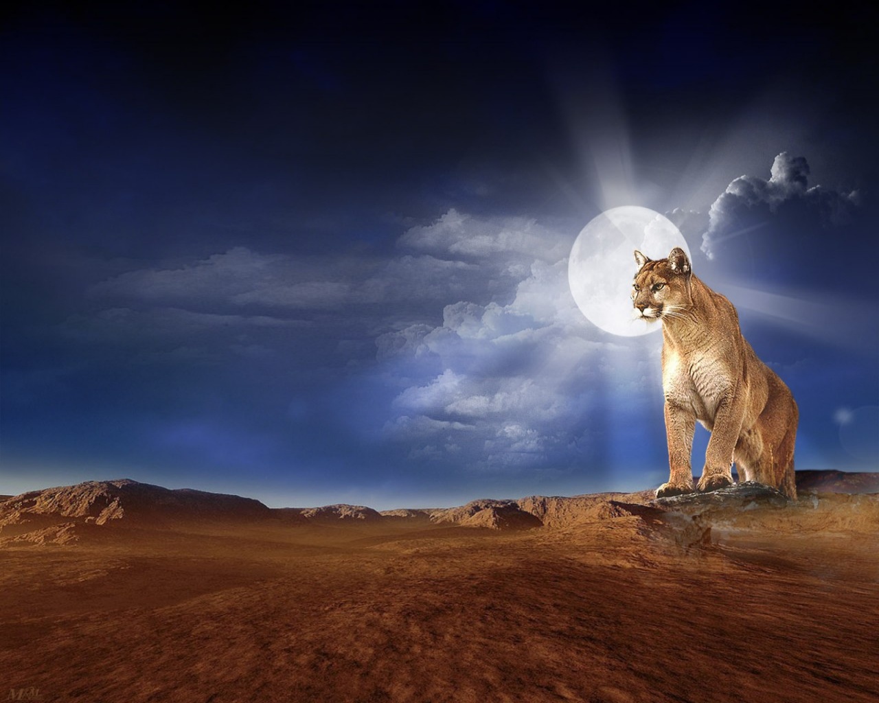 Fondo de pantalla puma