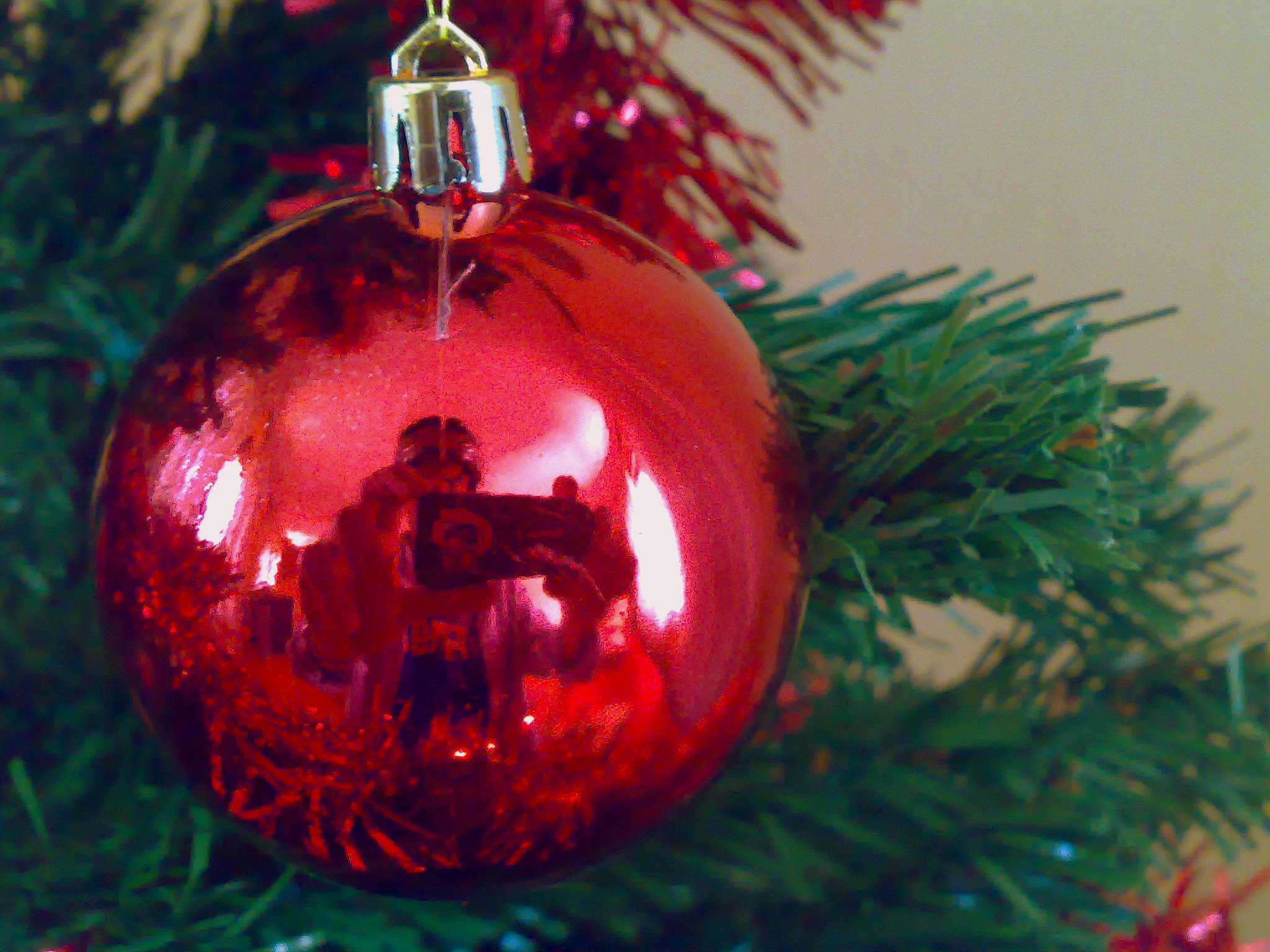 Fondos hd bolita roja en arbol