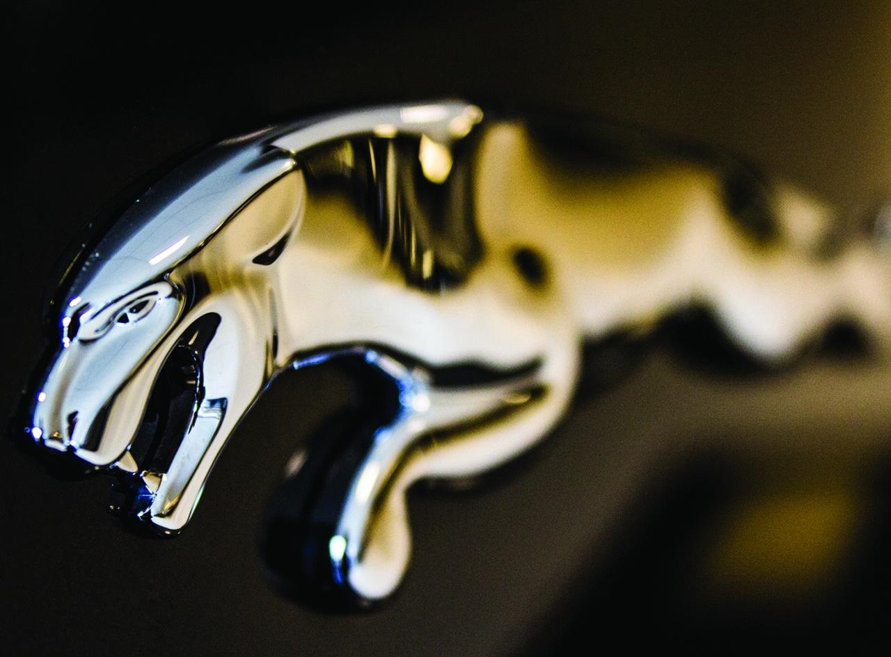 Jaguar Logo Close up wallpaper