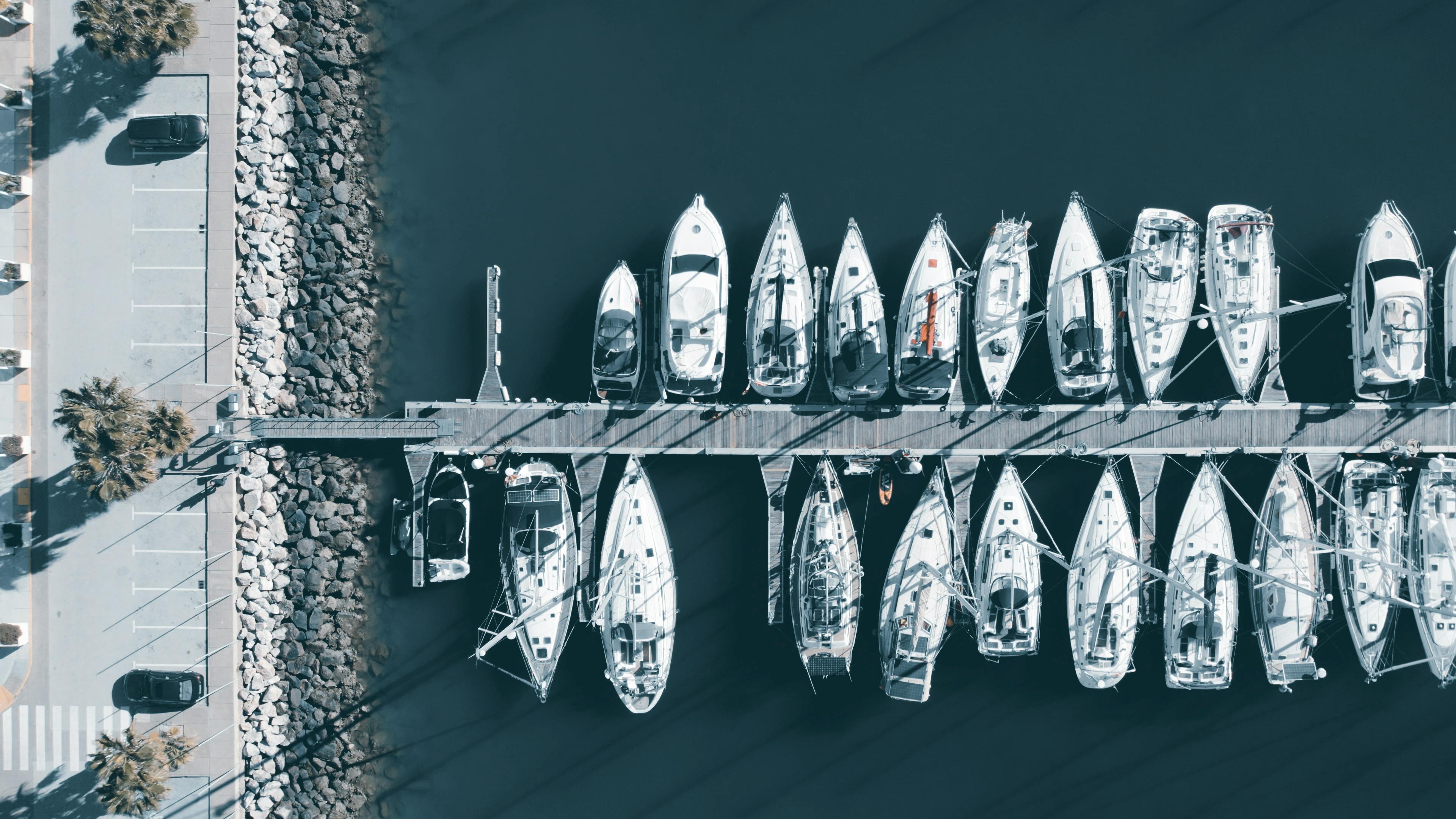 Fondo de Pantalla de pexels_11887202.jpg