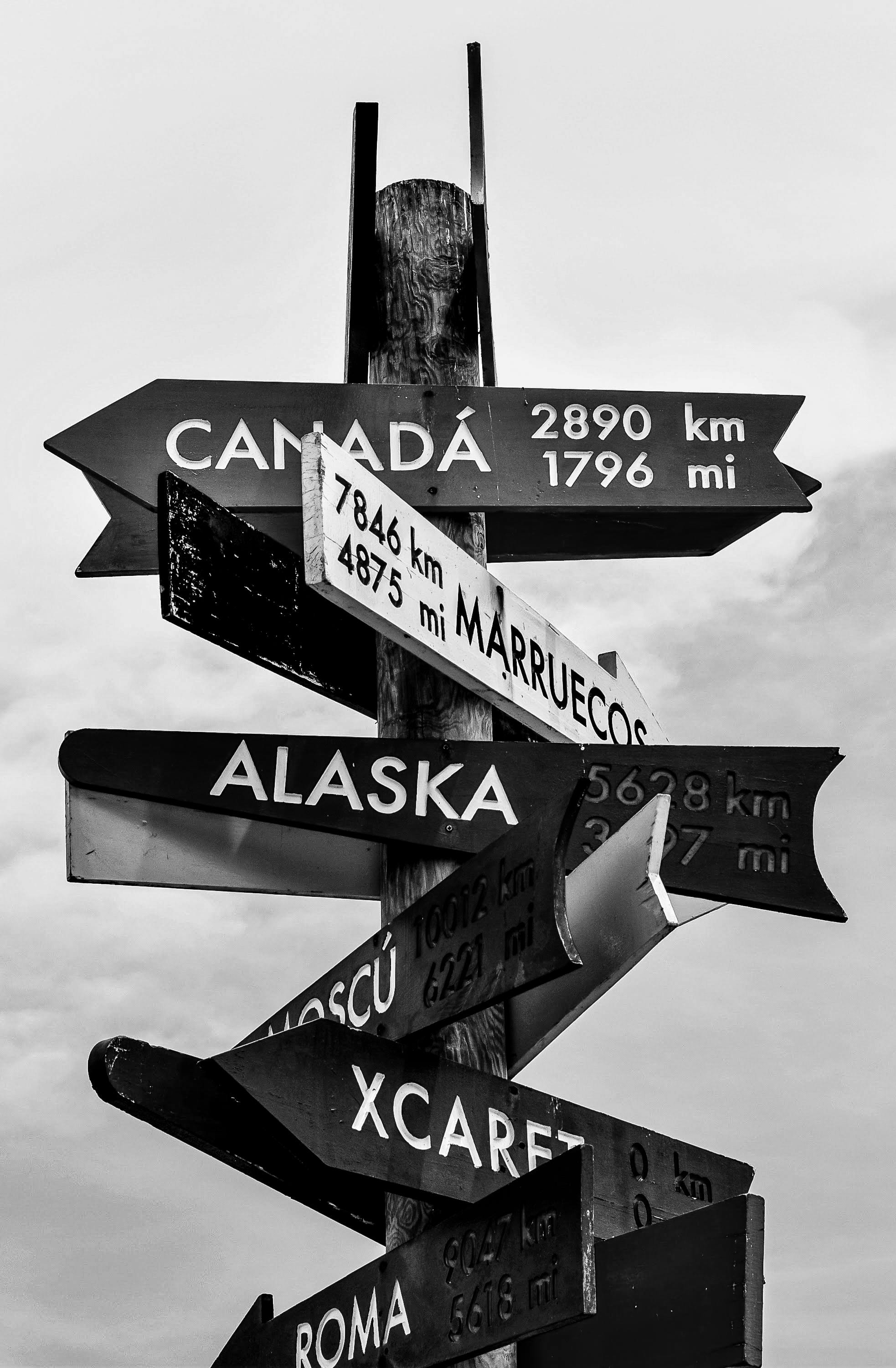 Fondo de Pantalla de pexels_5098856.jpg