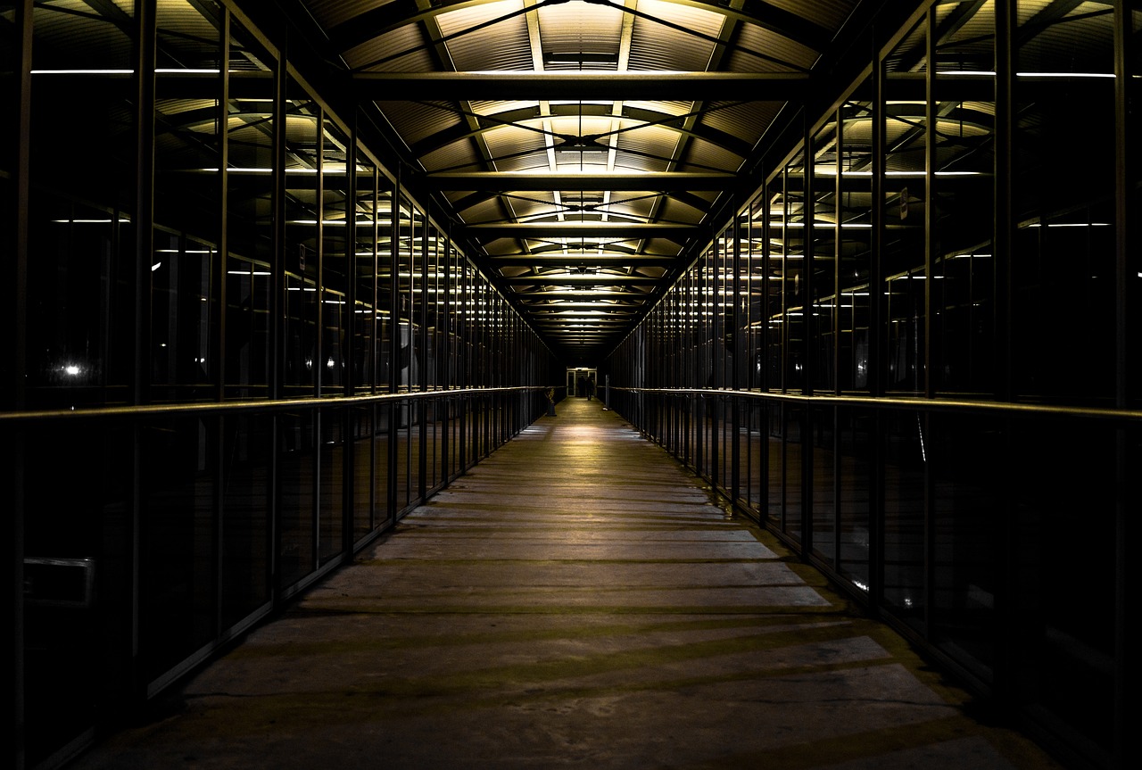 Fondo de Pantalla de pixabay_1011606.jpg