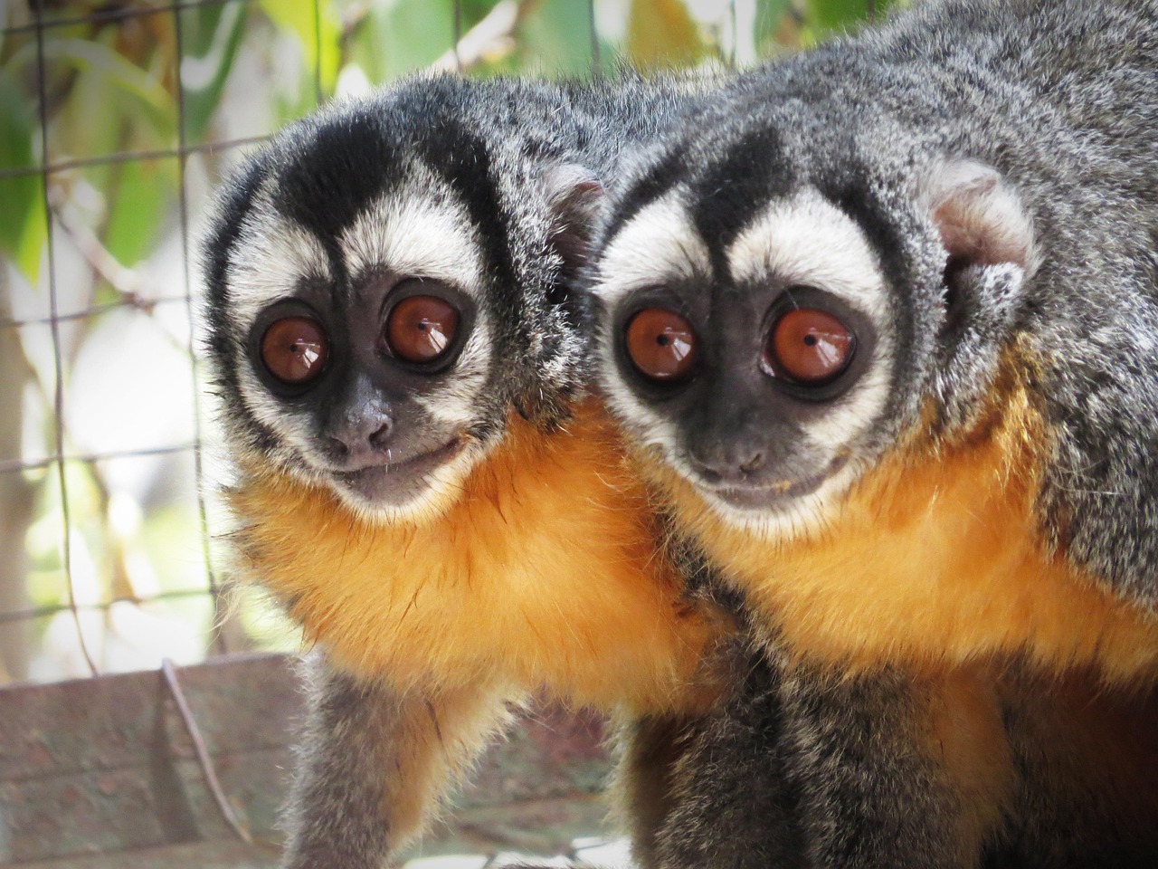 Fondo de Pantalla de pixabay_1092680.jpg