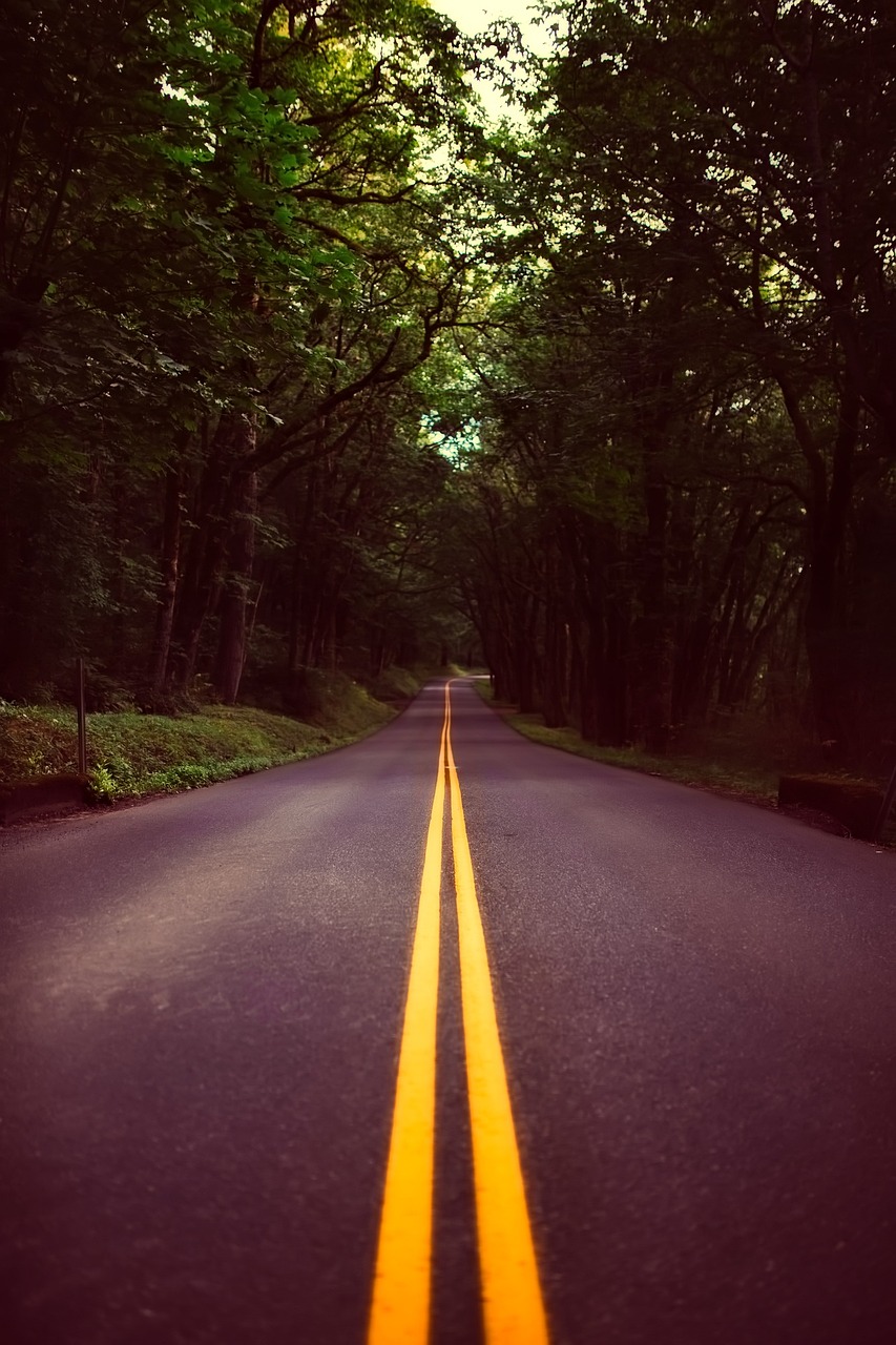 Fondo de Pantalla de pixabay_2530164.jpg