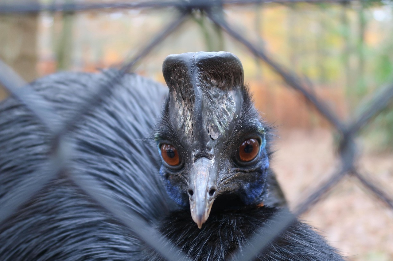 Fondo de Pantalla de pixabay_3888033.jpg