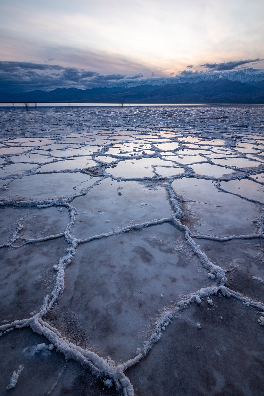 Fondo de Pantalla de pixabay_4970738.jpg