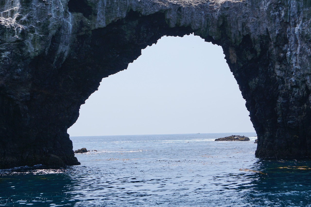 Fondo de Pantalla de pixabay_5292215.jpg