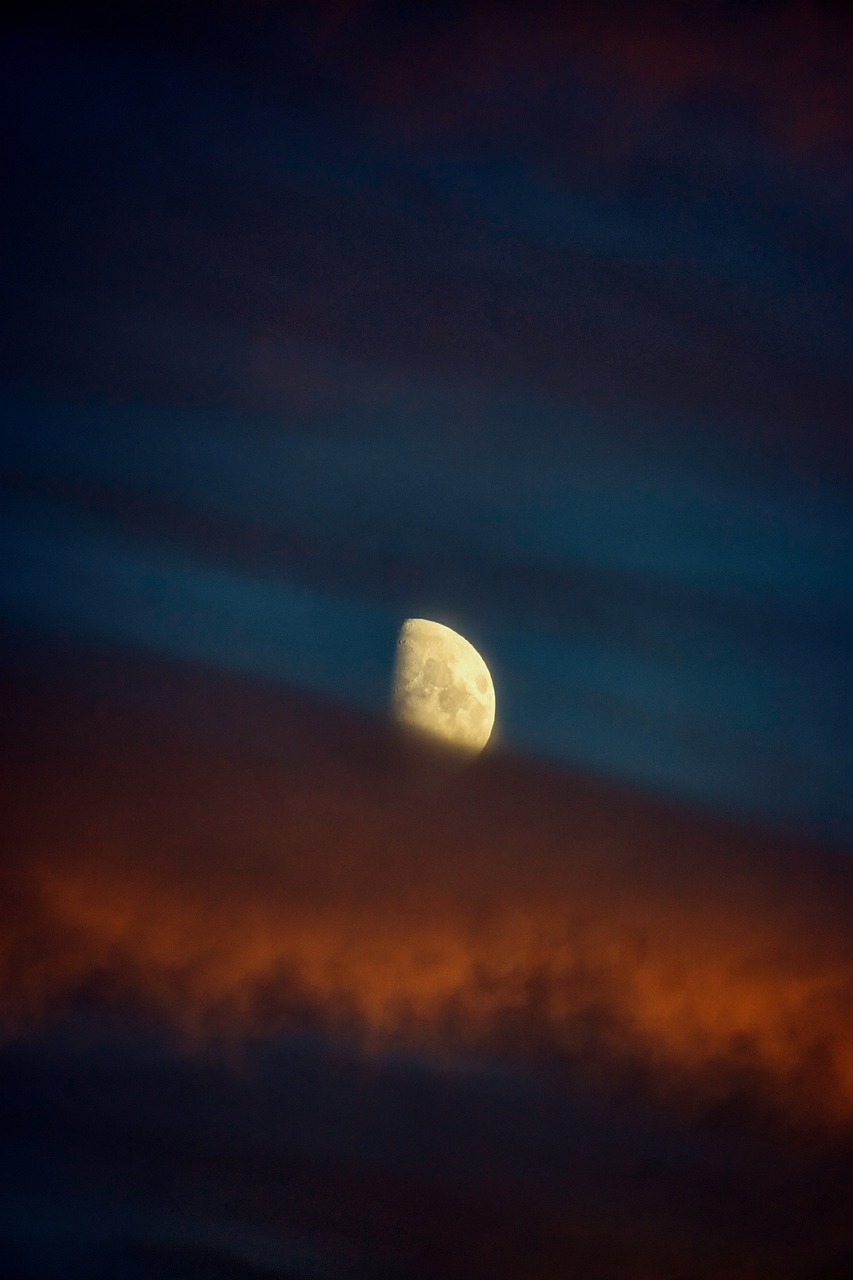 Fondo de Pantalla de pixabay_7445243.jpg