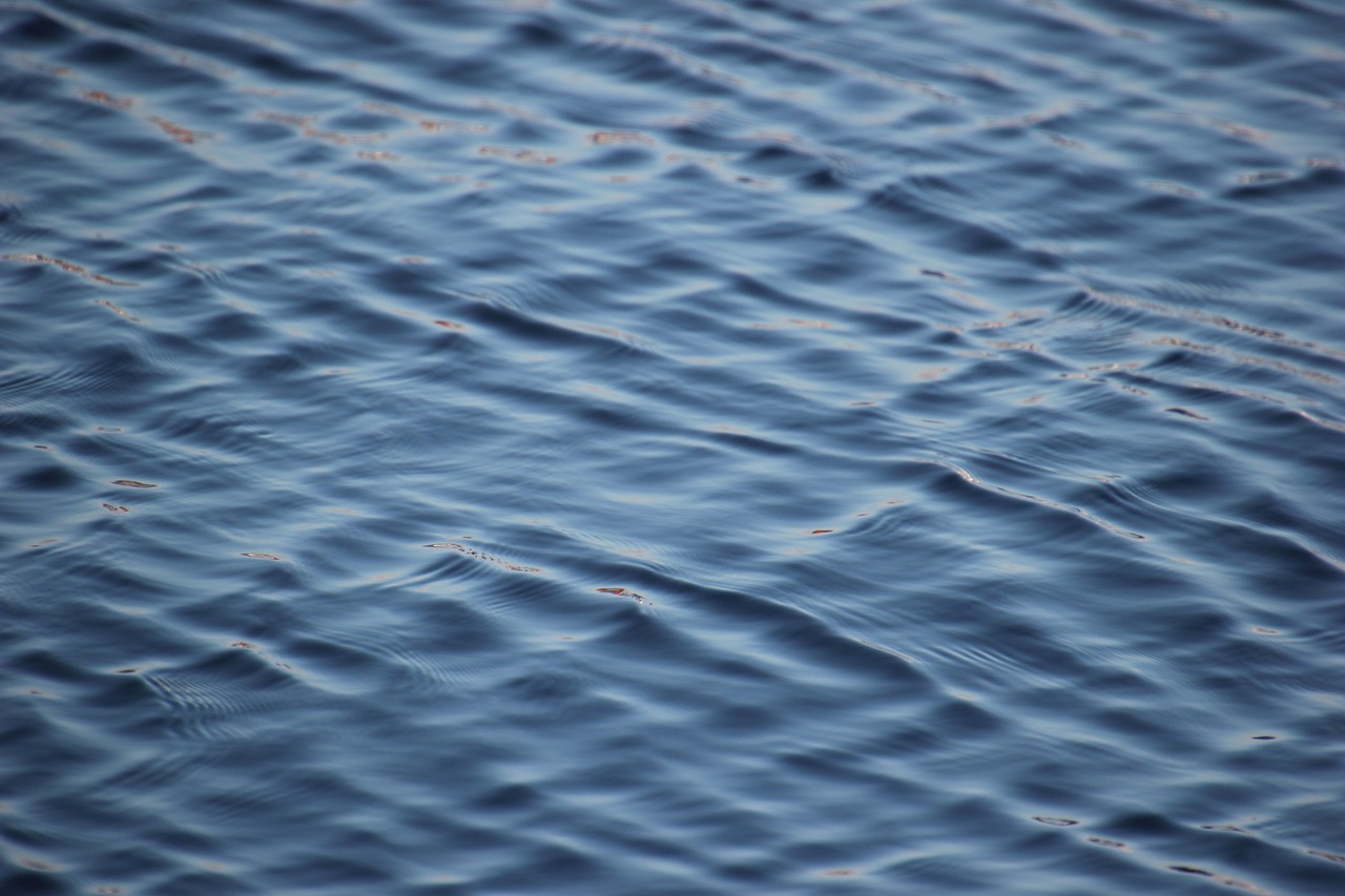 Fondo de Pantalla de pixabay_7484743.jpg