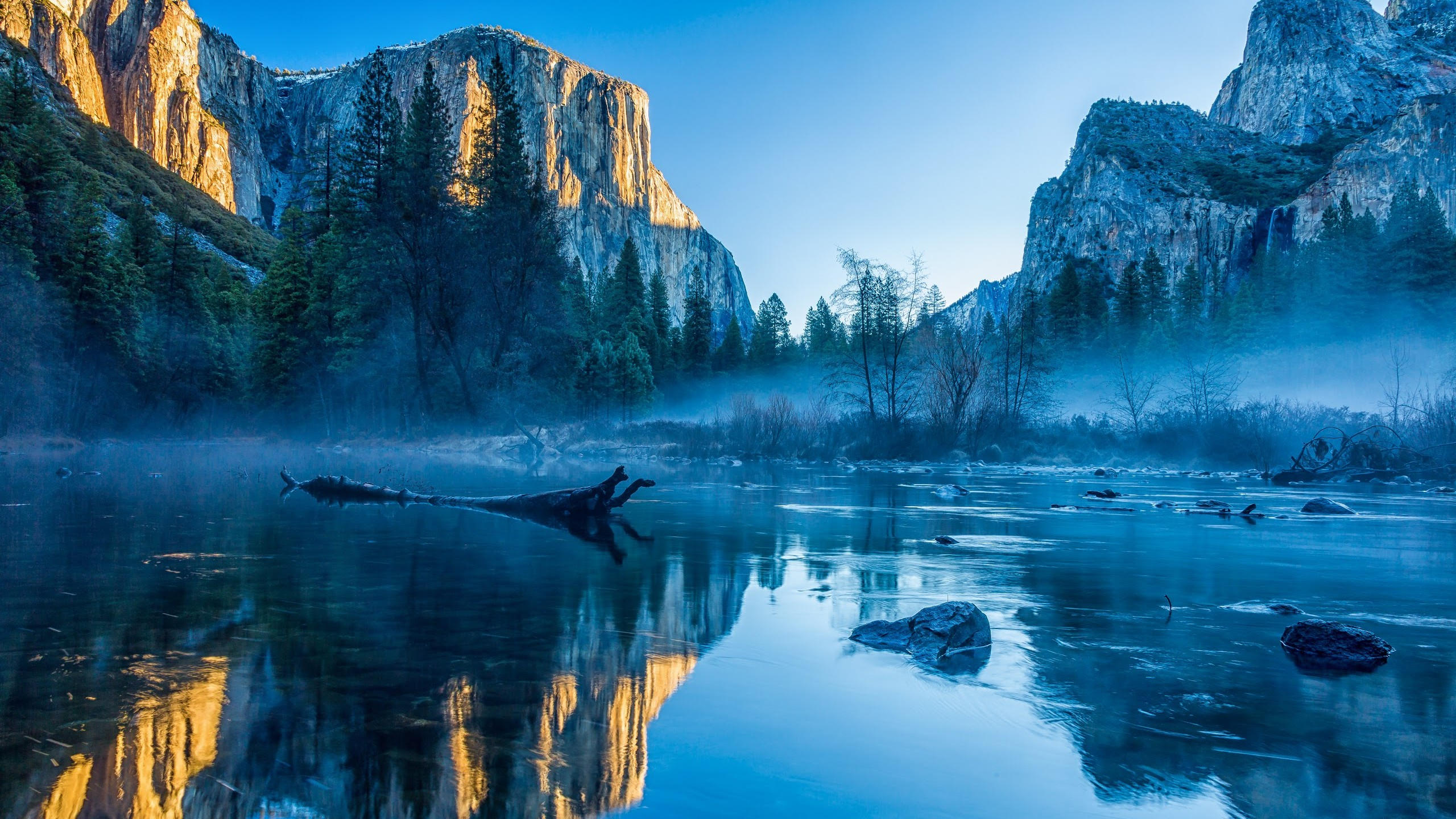 Yosemite 2560x1440 el capitan hd 4k wallpaper winter forest osx apple