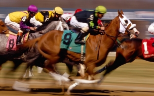 Fondo de pantalla caballos en carrera