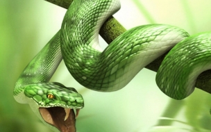 Fondo de pantalla serpiente mordiendo