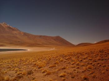 Fondo de pantalla de Fondo de Pantalla de pexels_58535.jpg