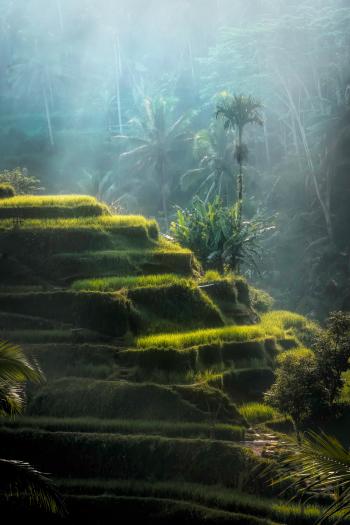 Fondo de pantalla de Fondo de Pantalla de pexels_2100804.jpg